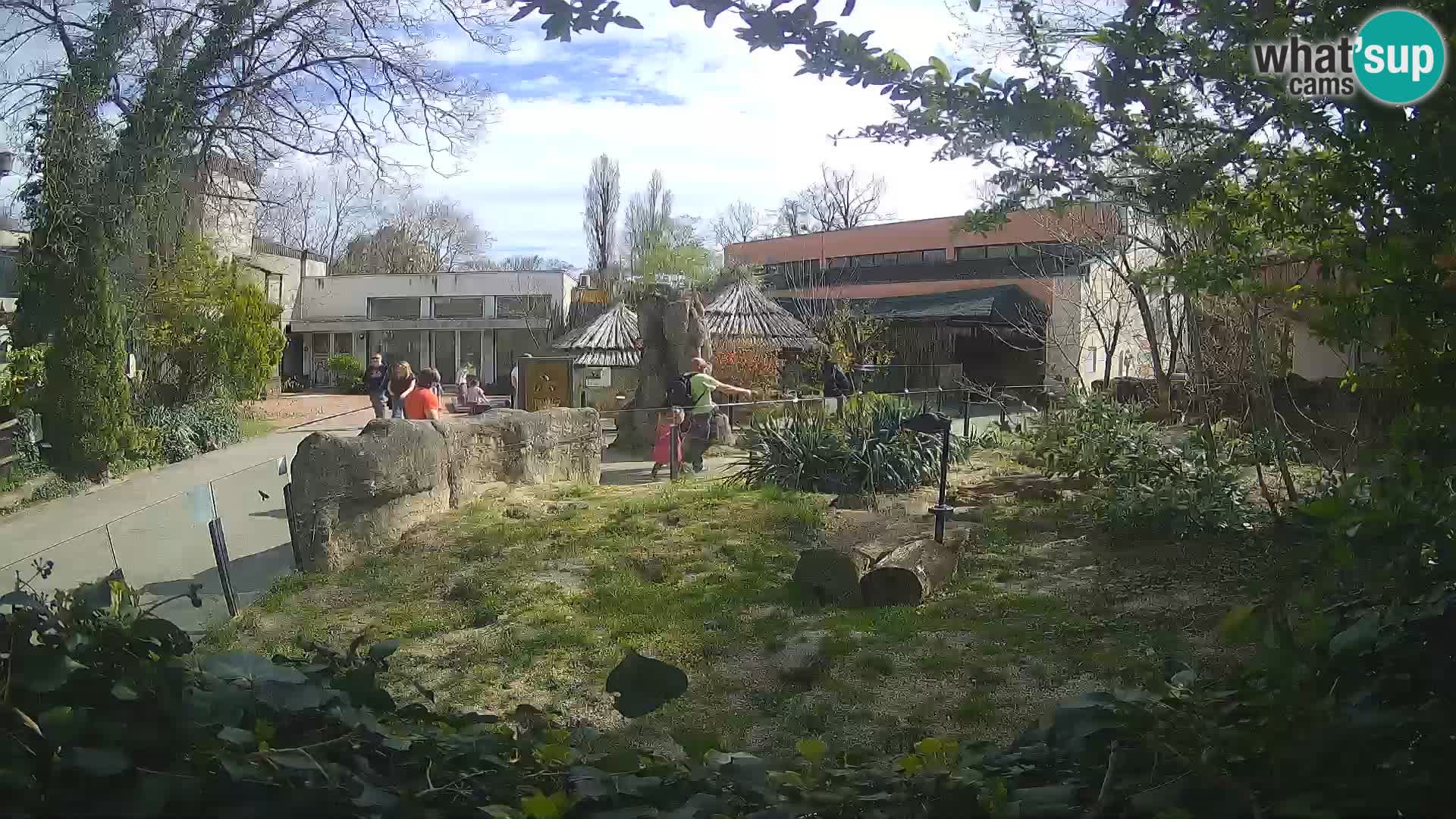 Zoo Zagreb – Suricata