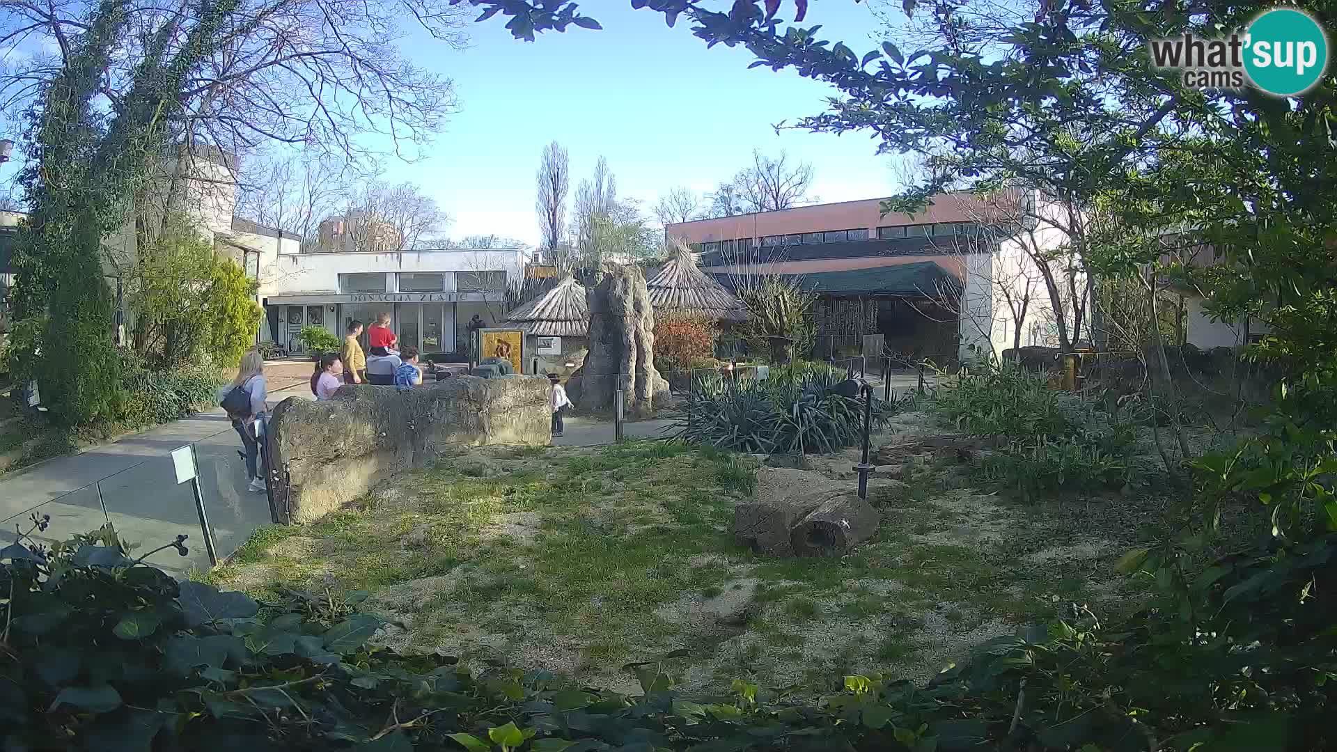 Zoo Zagreb – Suricate