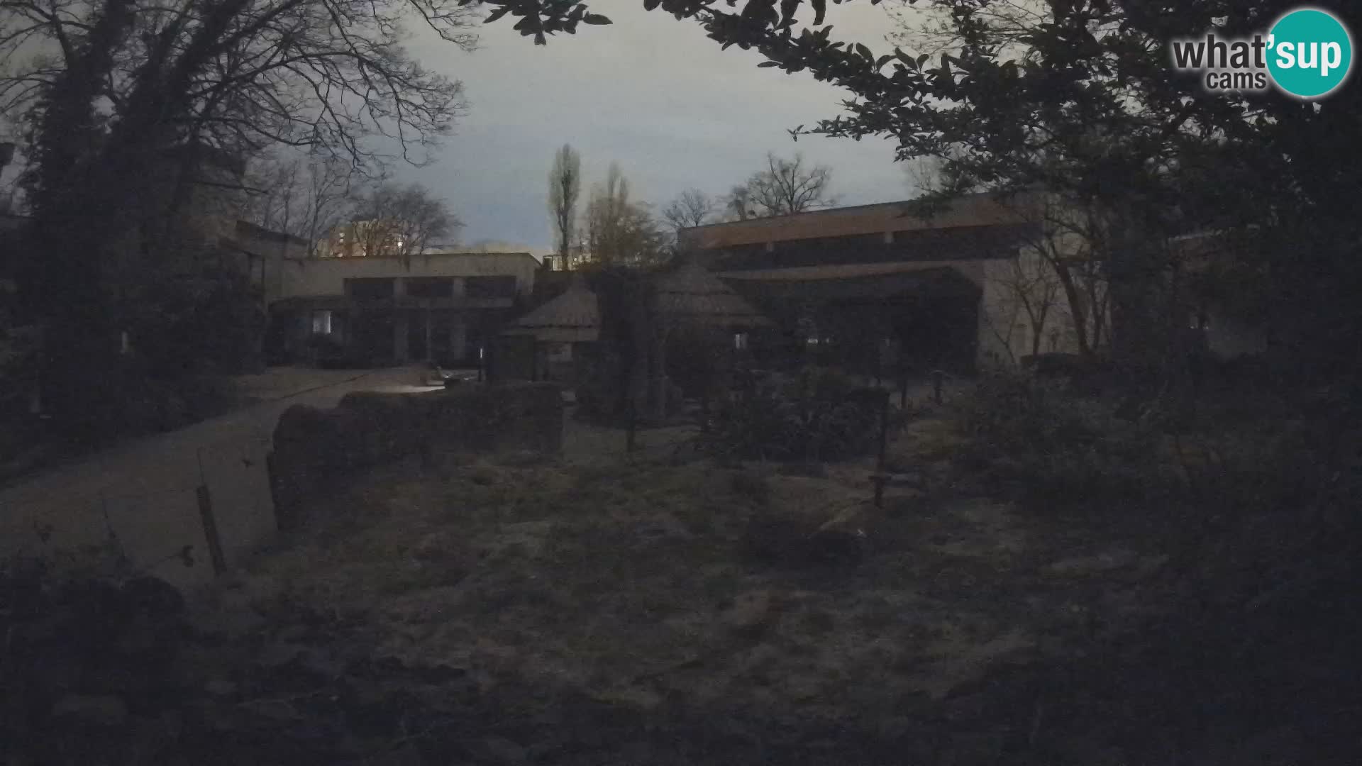 Zoo Zagreb – Erdmännchen