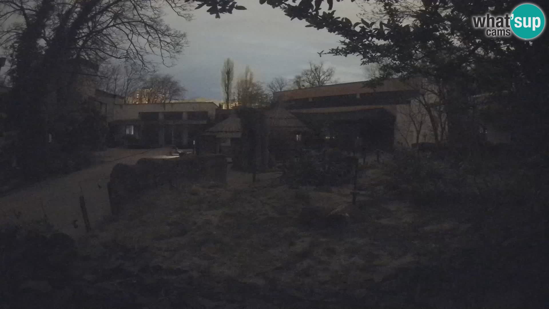 Zoo Zagreb – Erdmännchen