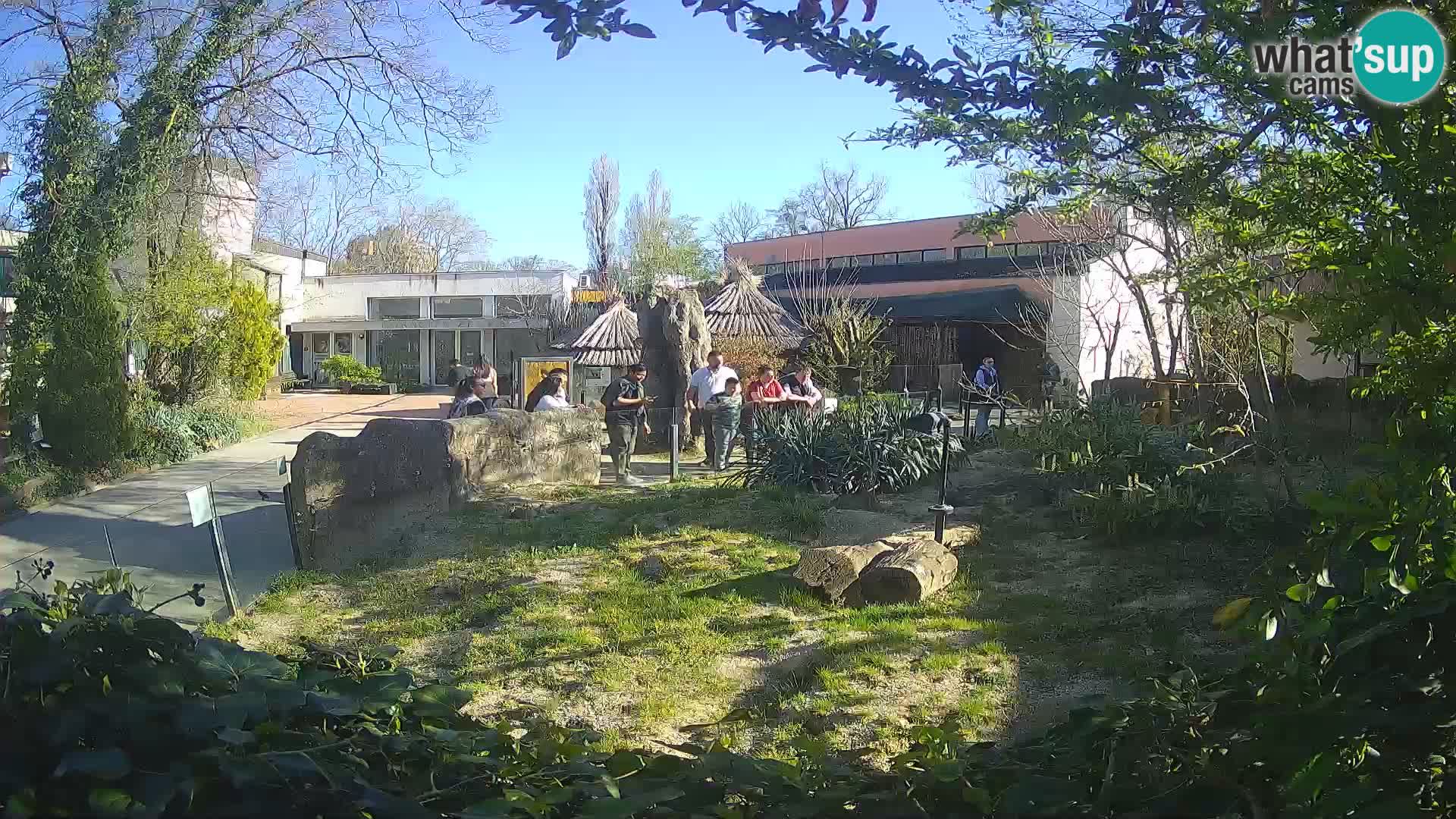 Zoo Zagreb – Merkat