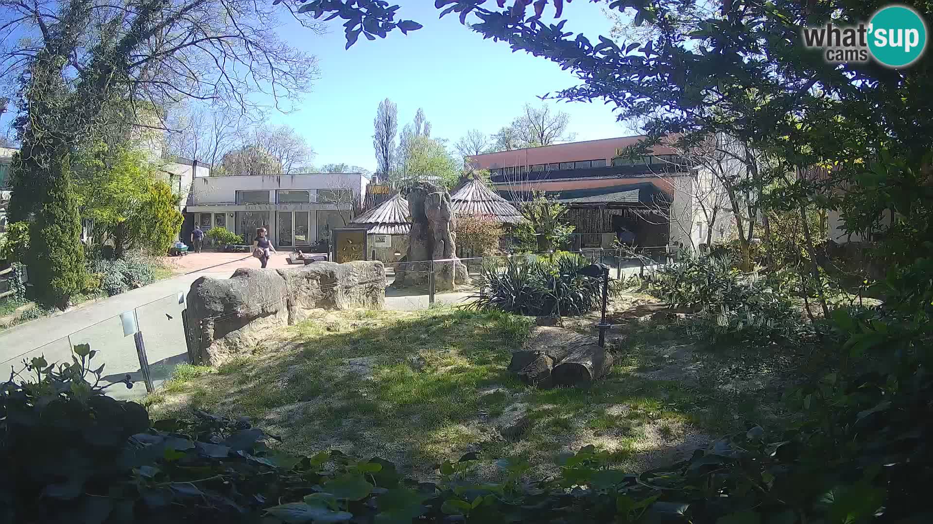 Zoo Zagreb – Surikate