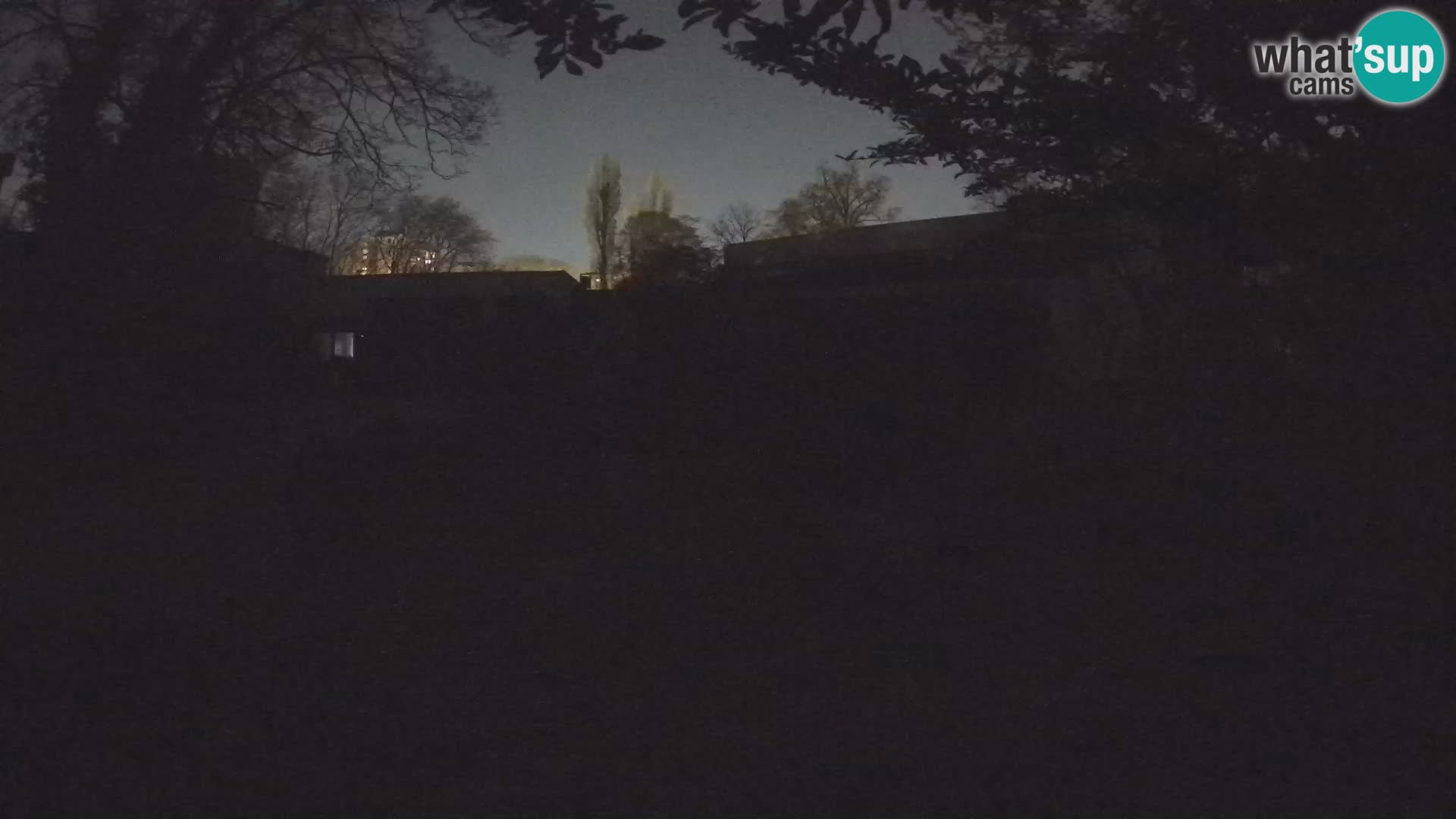 Zoo Zagreb – Erdmännchen