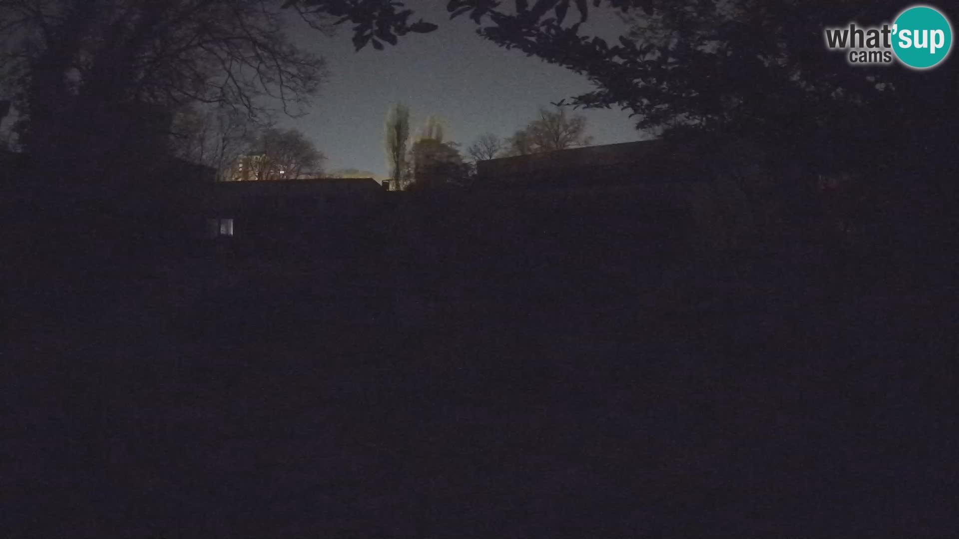 Zoo Zagreb – Erdmännchen