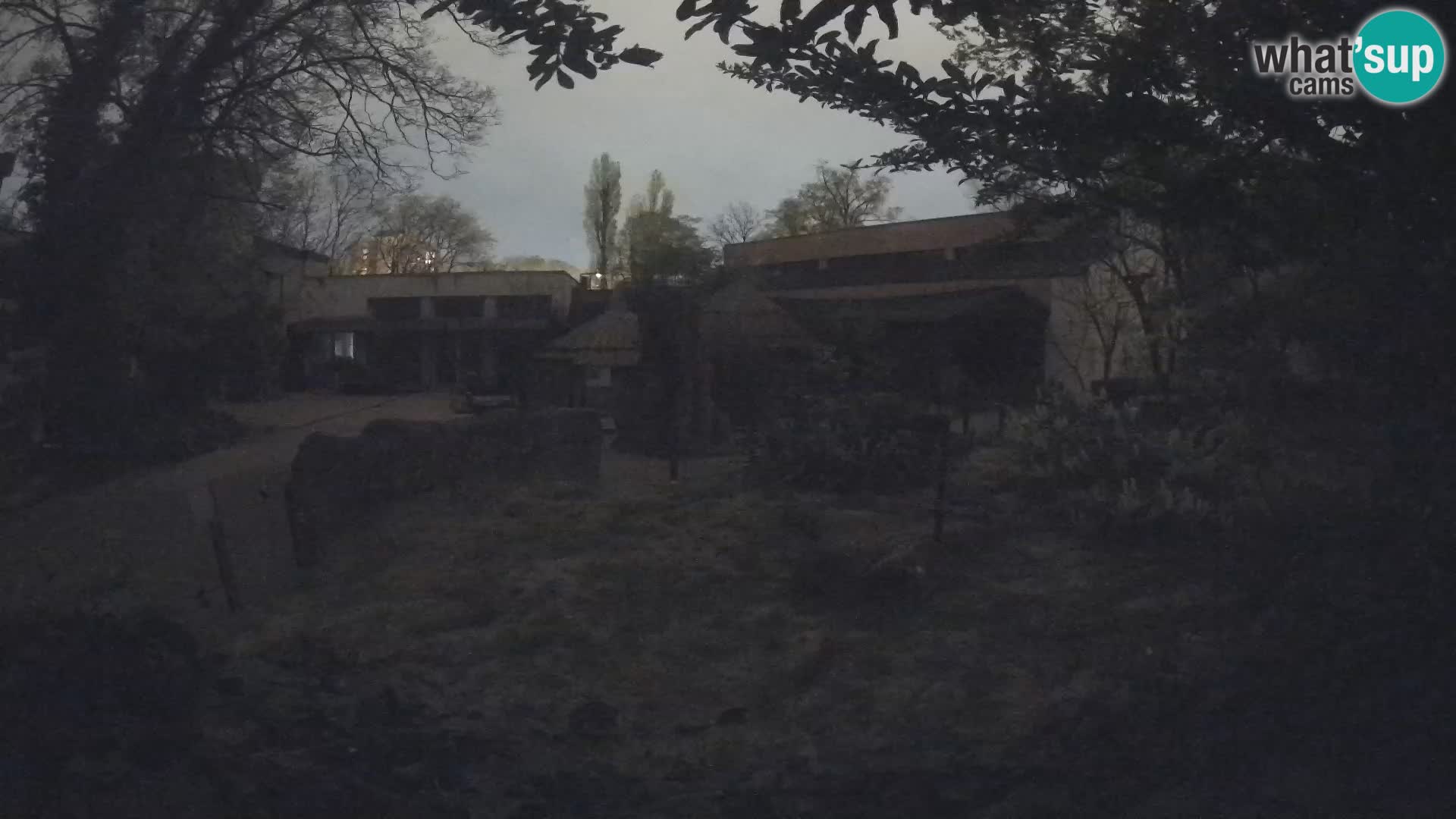 Zoo Zagreb – Erdmännchen