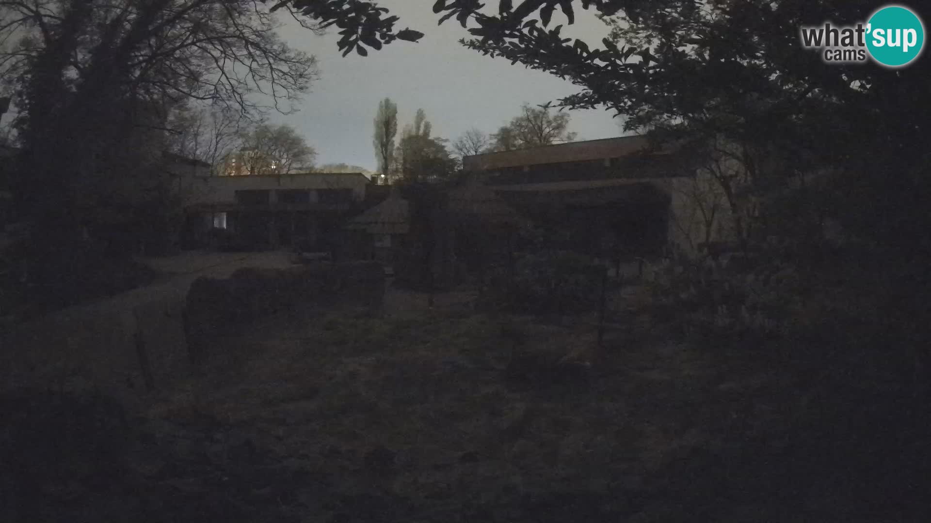 Zoo Zagreb – Erdmännchen