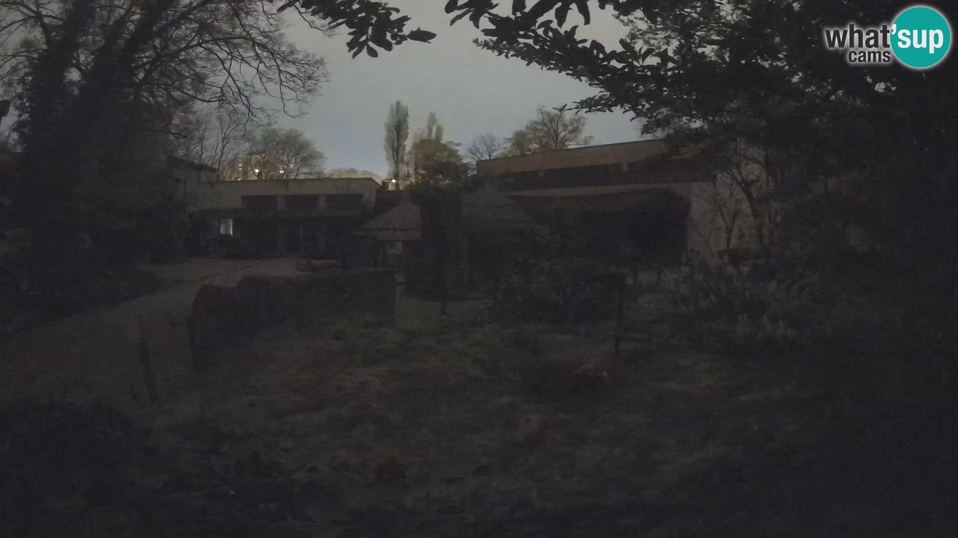 Zoo Zagreb – Erdmännchen