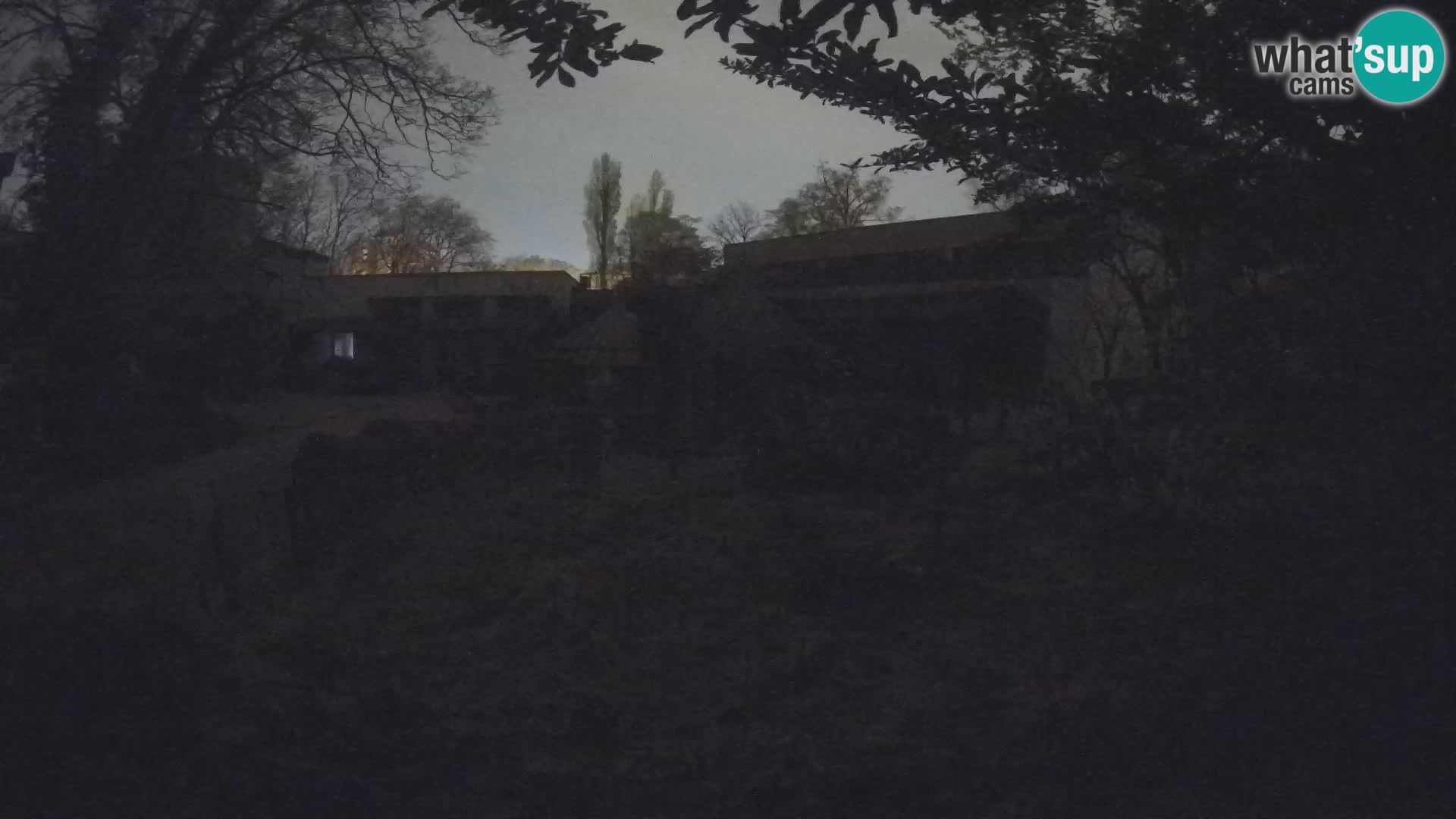 Zoo Zagreb – Erdmännchen