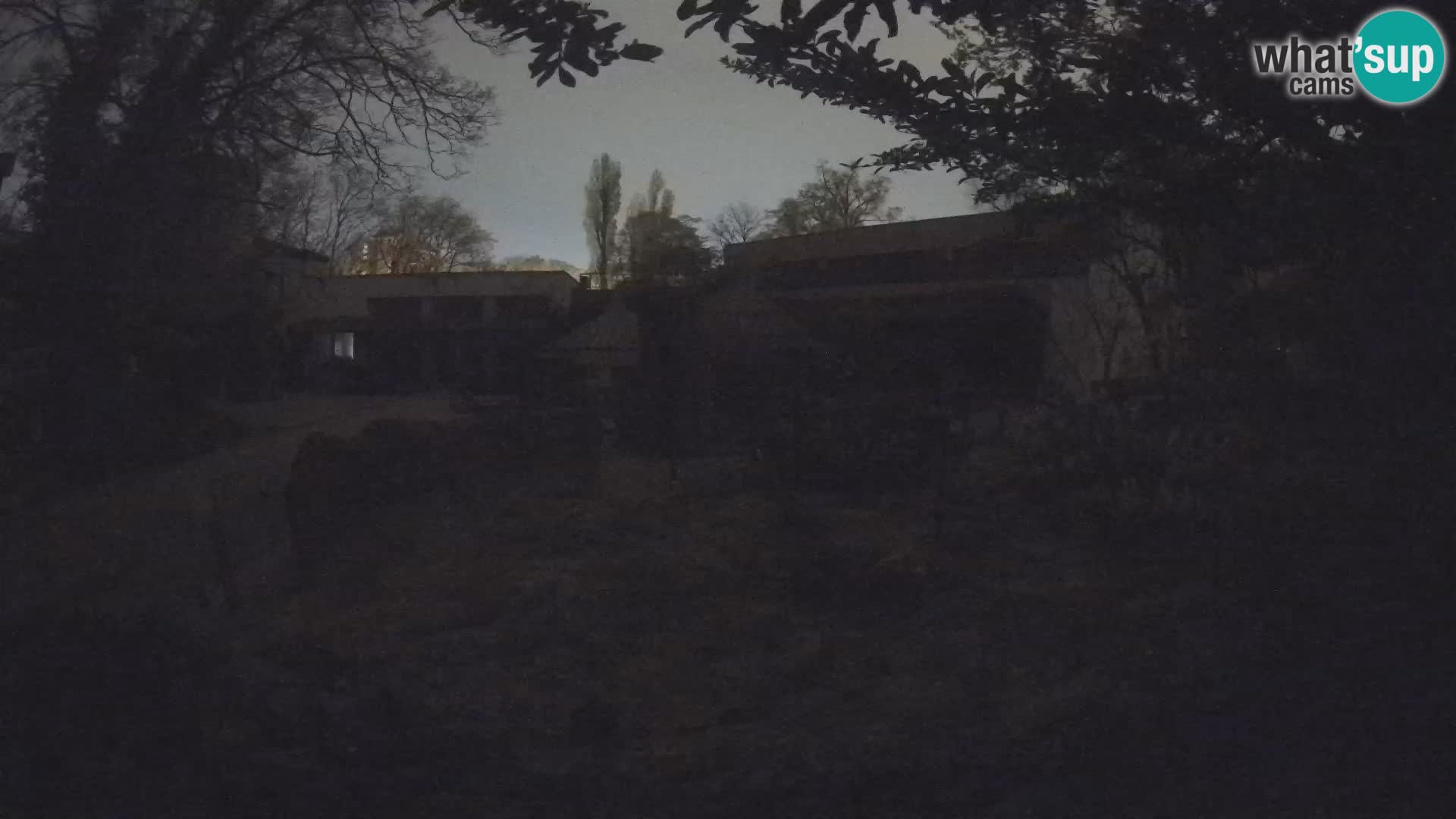 Zoo Zagreb – Erdmännchen