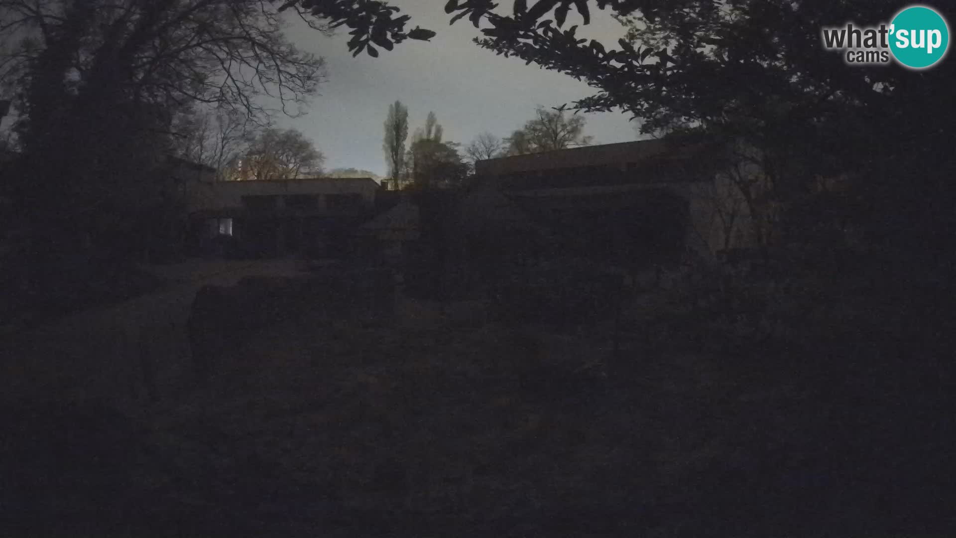 Zoo Zagreb – Merkat