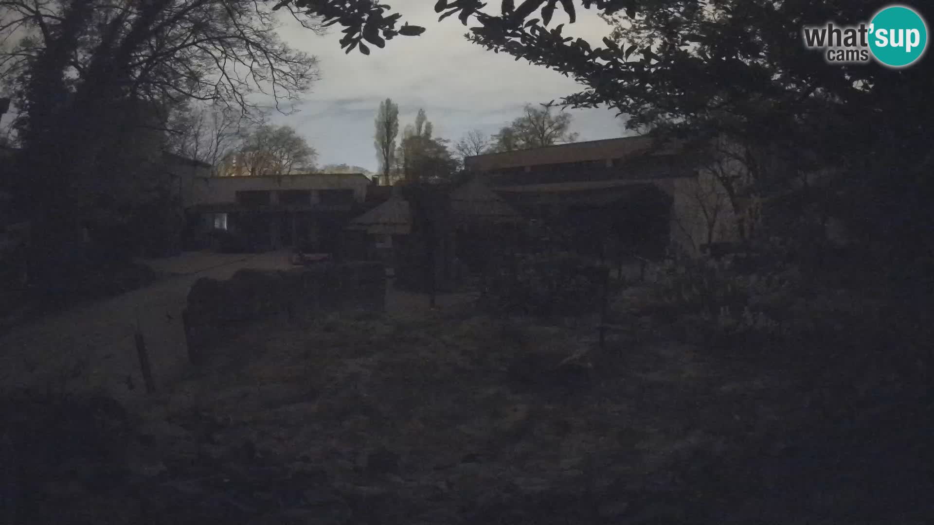 Zoo Zagreb – Erdmännchen