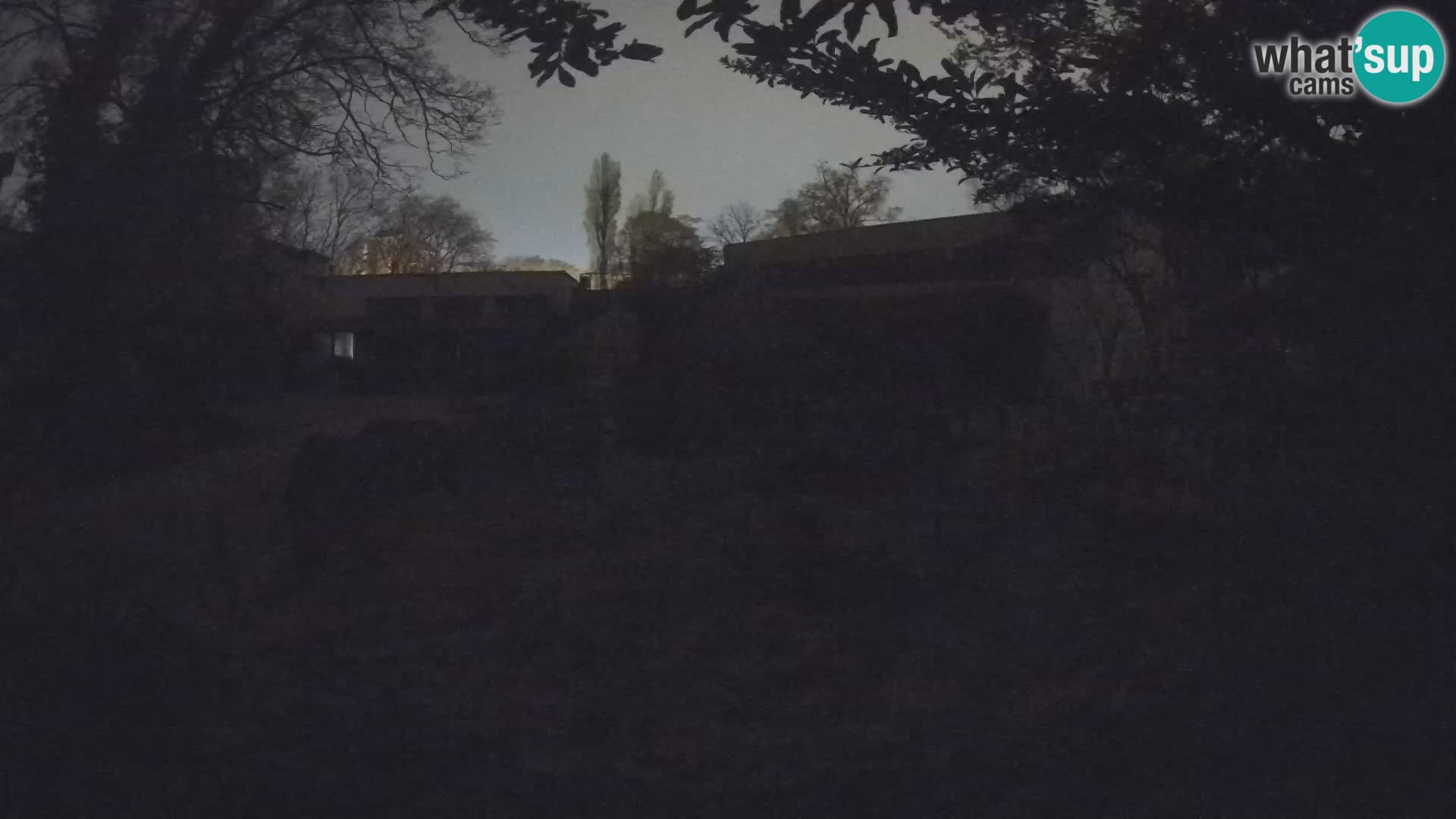 Zoo Zagreb – Merkat