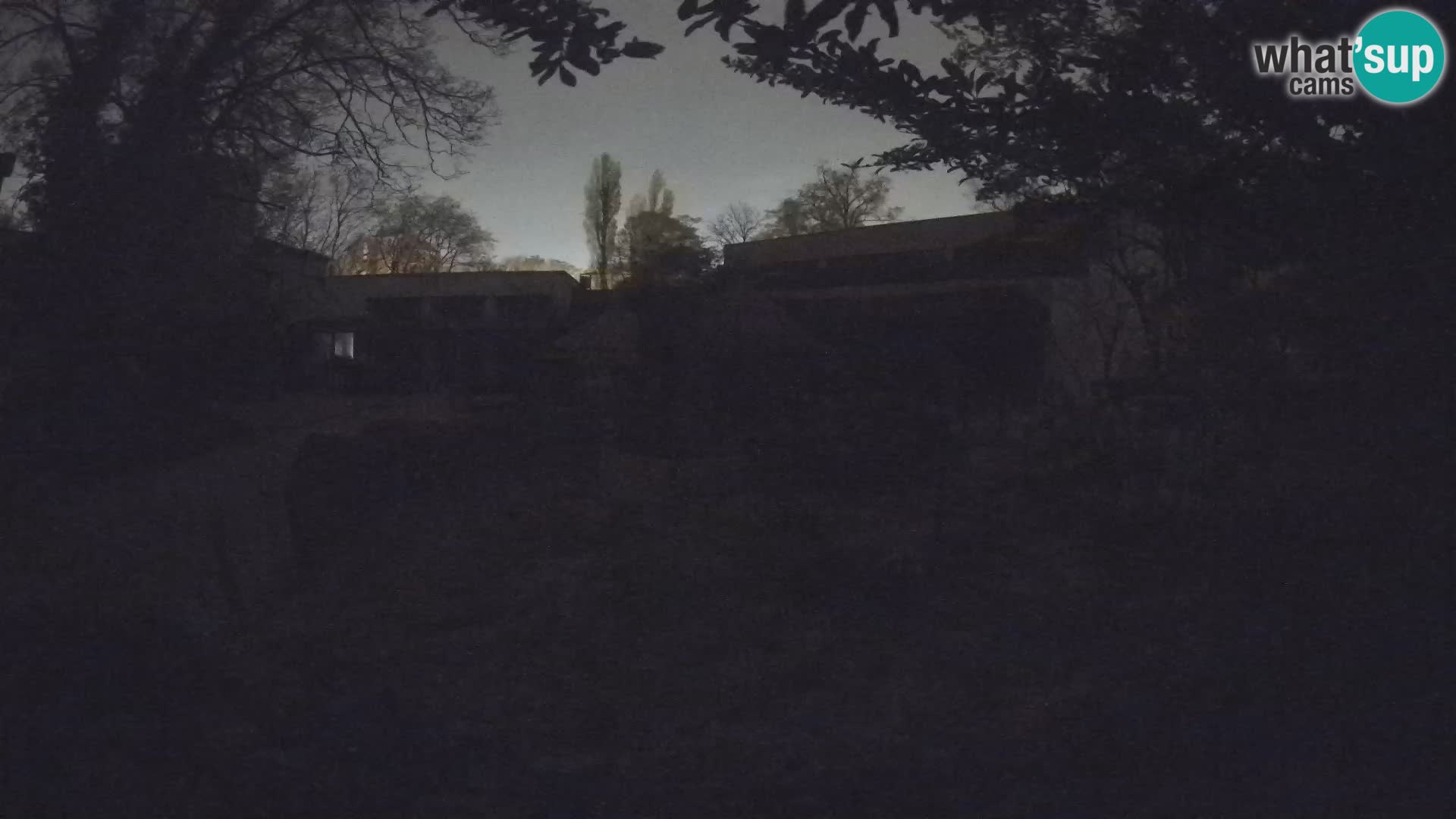 Zoo Zagreb – Merkat