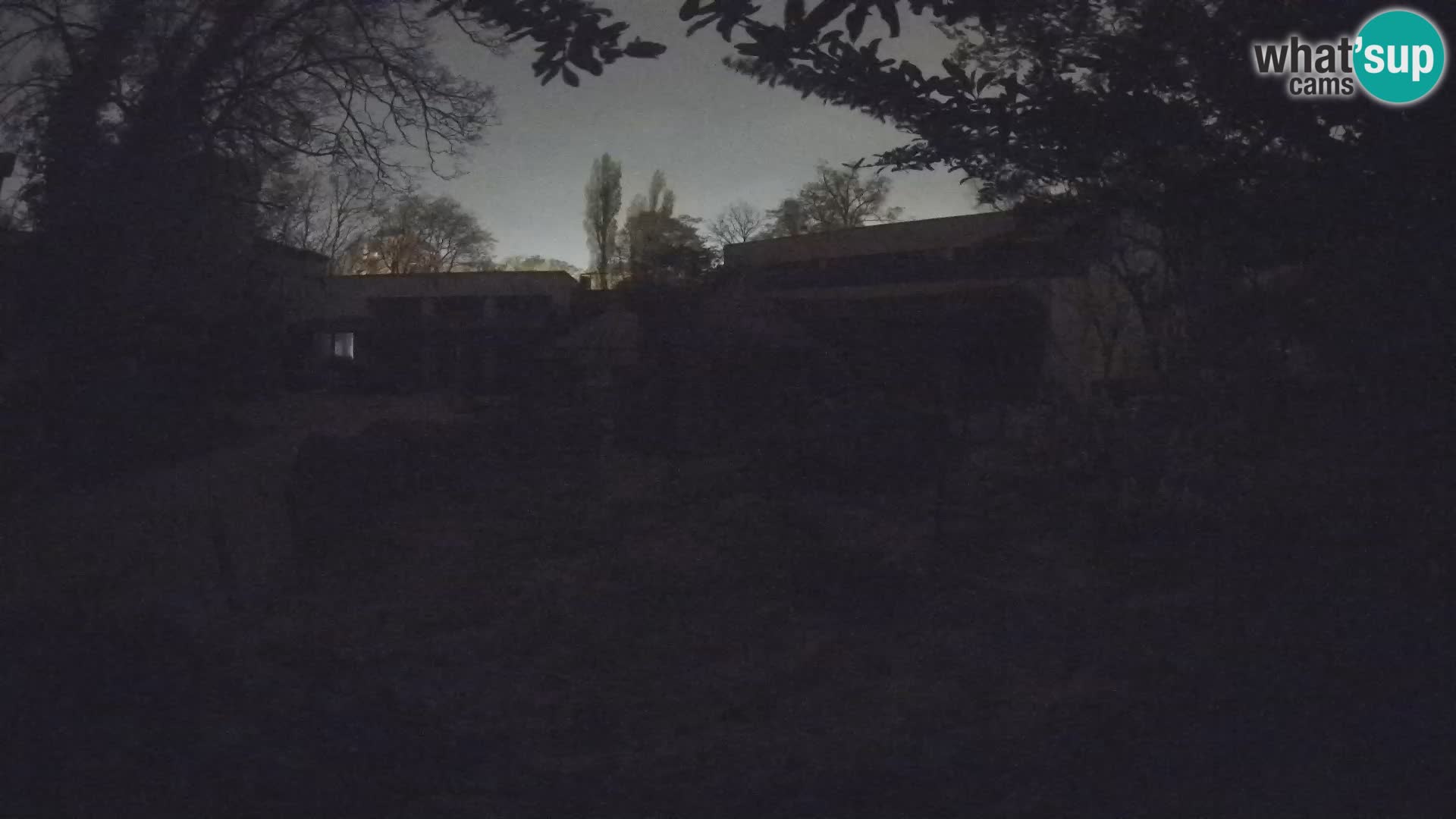 Zoo Zagreb – Erdmännchen