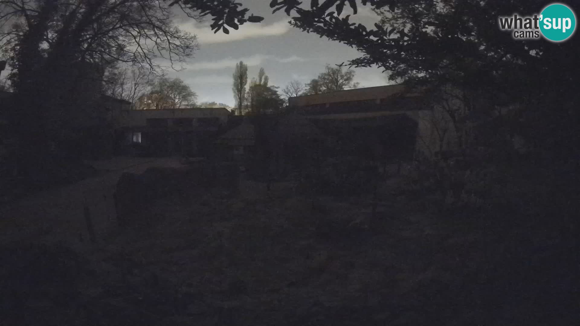 Zoo Zagreb – Erdmännchen