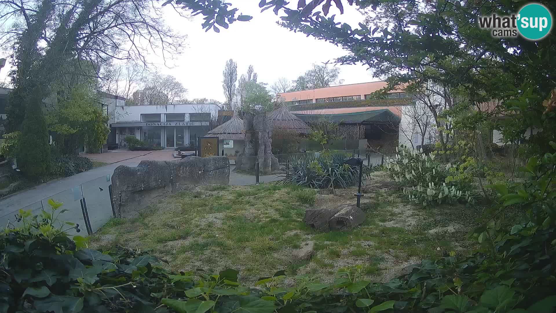 Zoo Zagreb – Merkat