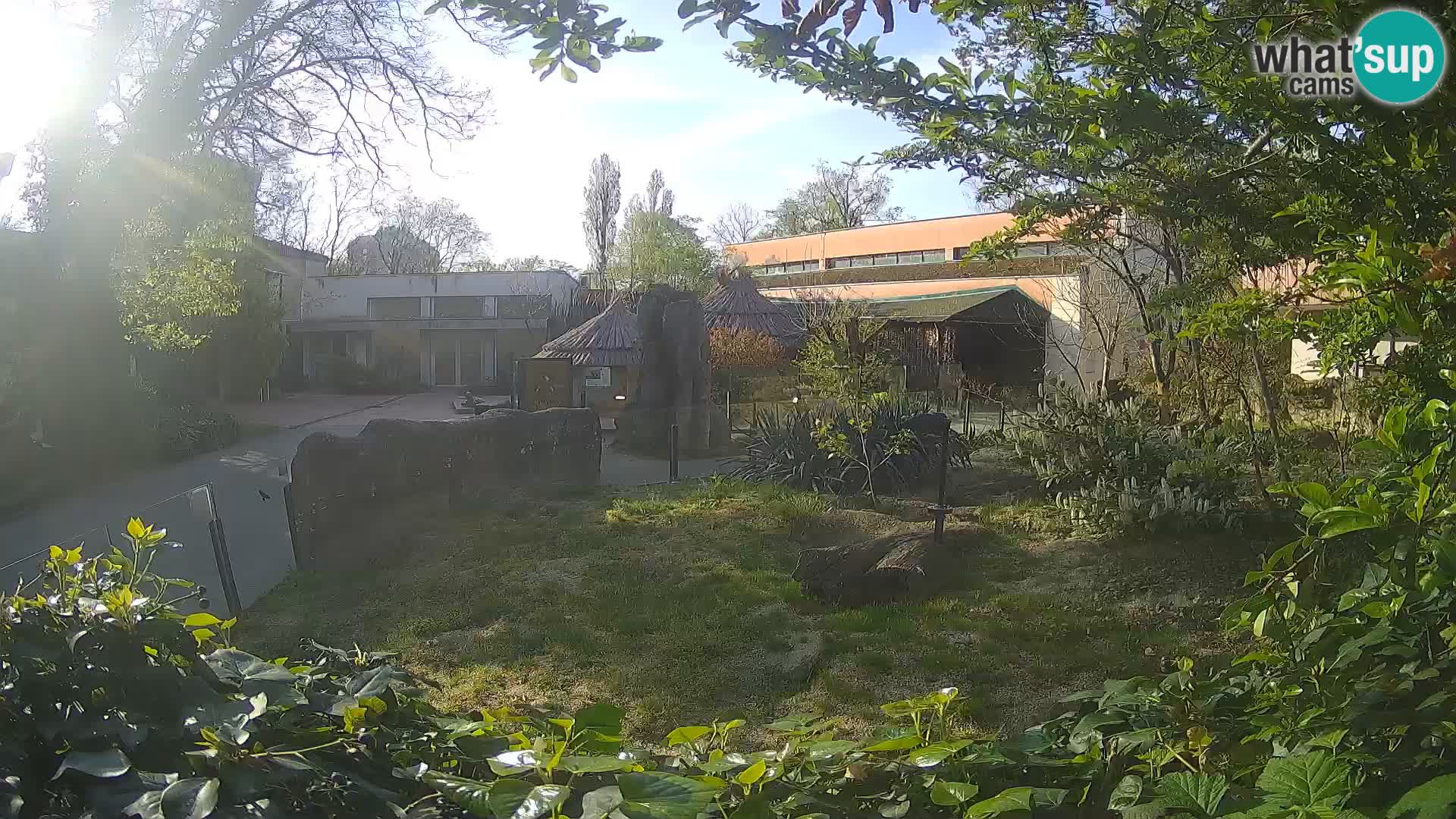 Zoo Zagreb – Erdmännchen