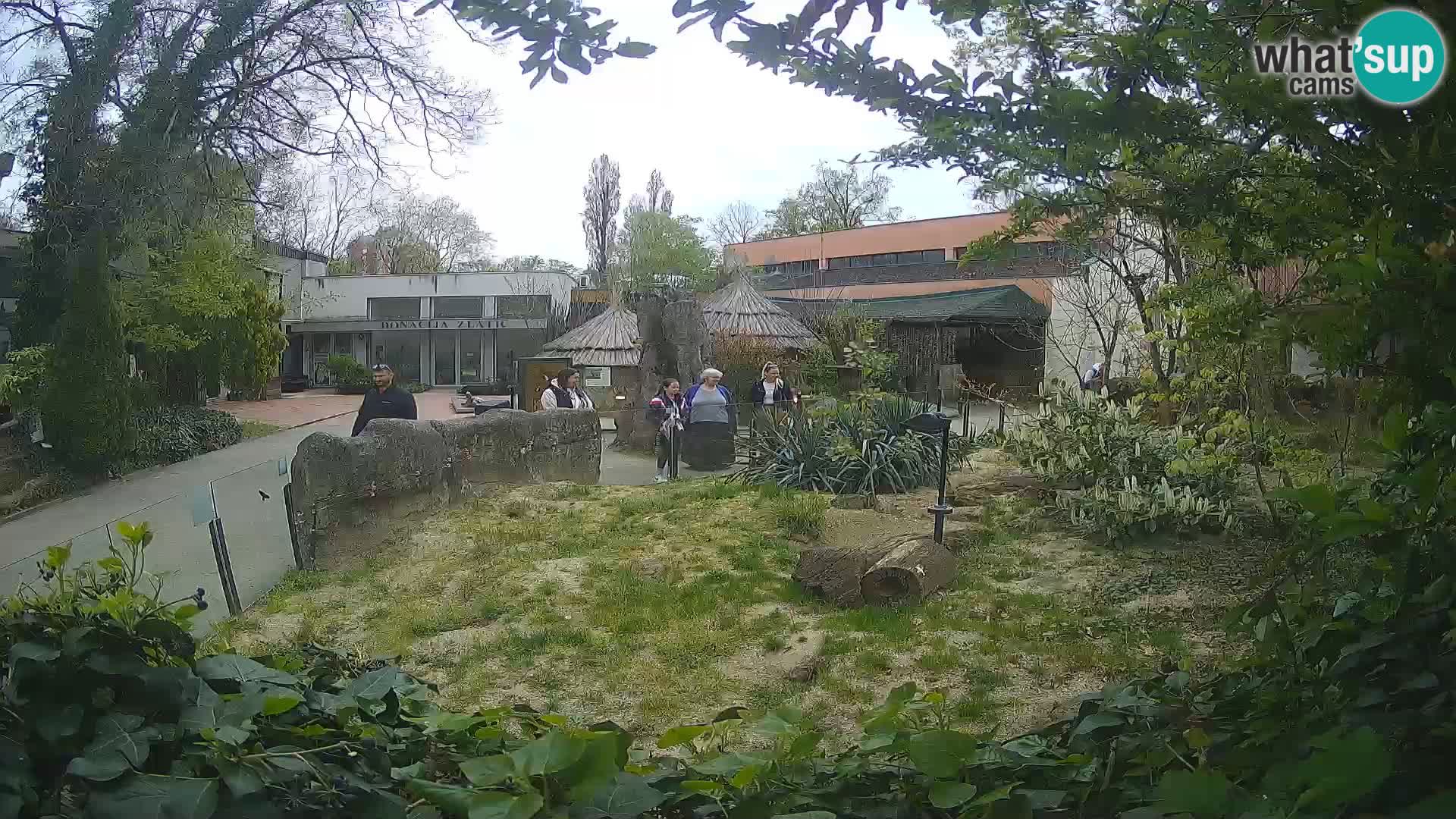 Zoo Zagreb – Erdmännchen