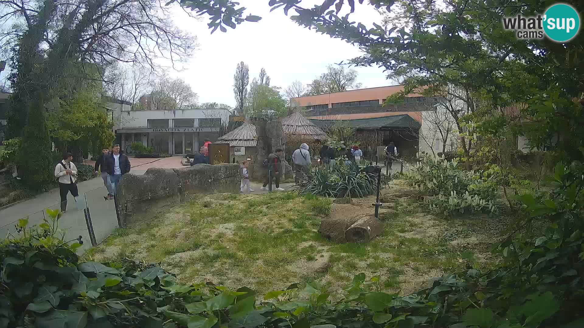 Zoo Zagreb – Surikate