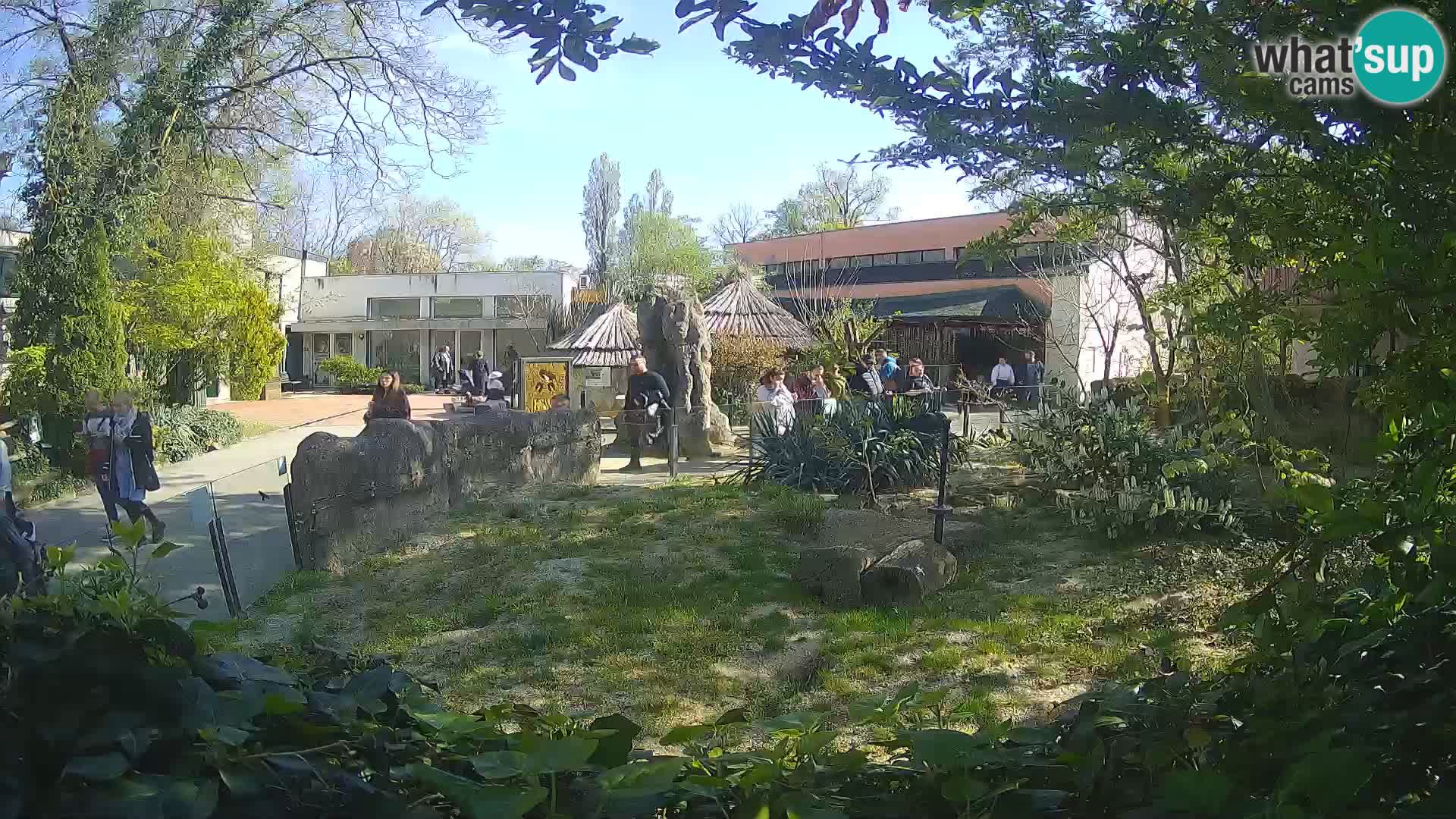 Zoo Zagreb – Erdmännchen