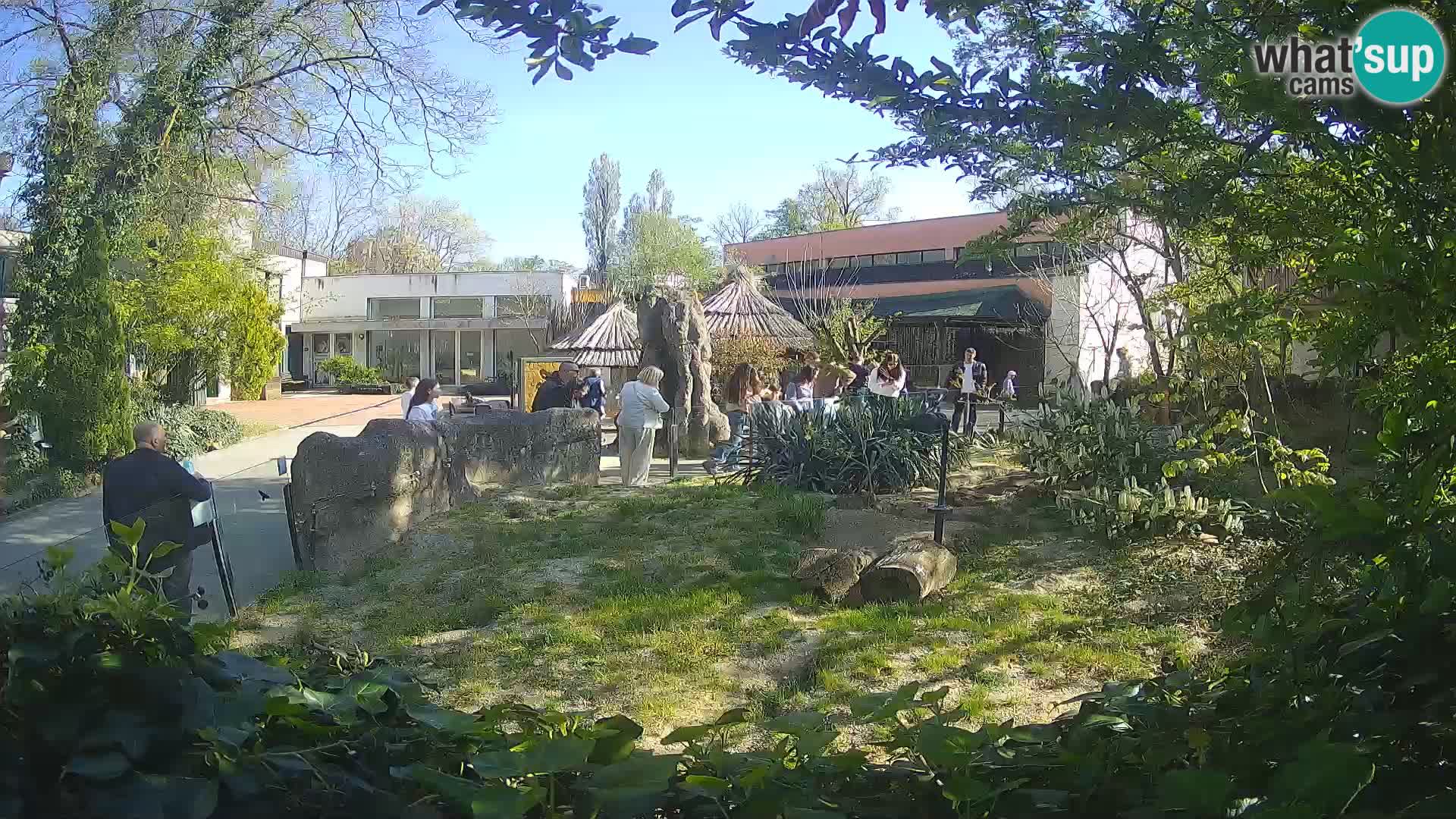 Zoo Zagreb – Erdmännchen