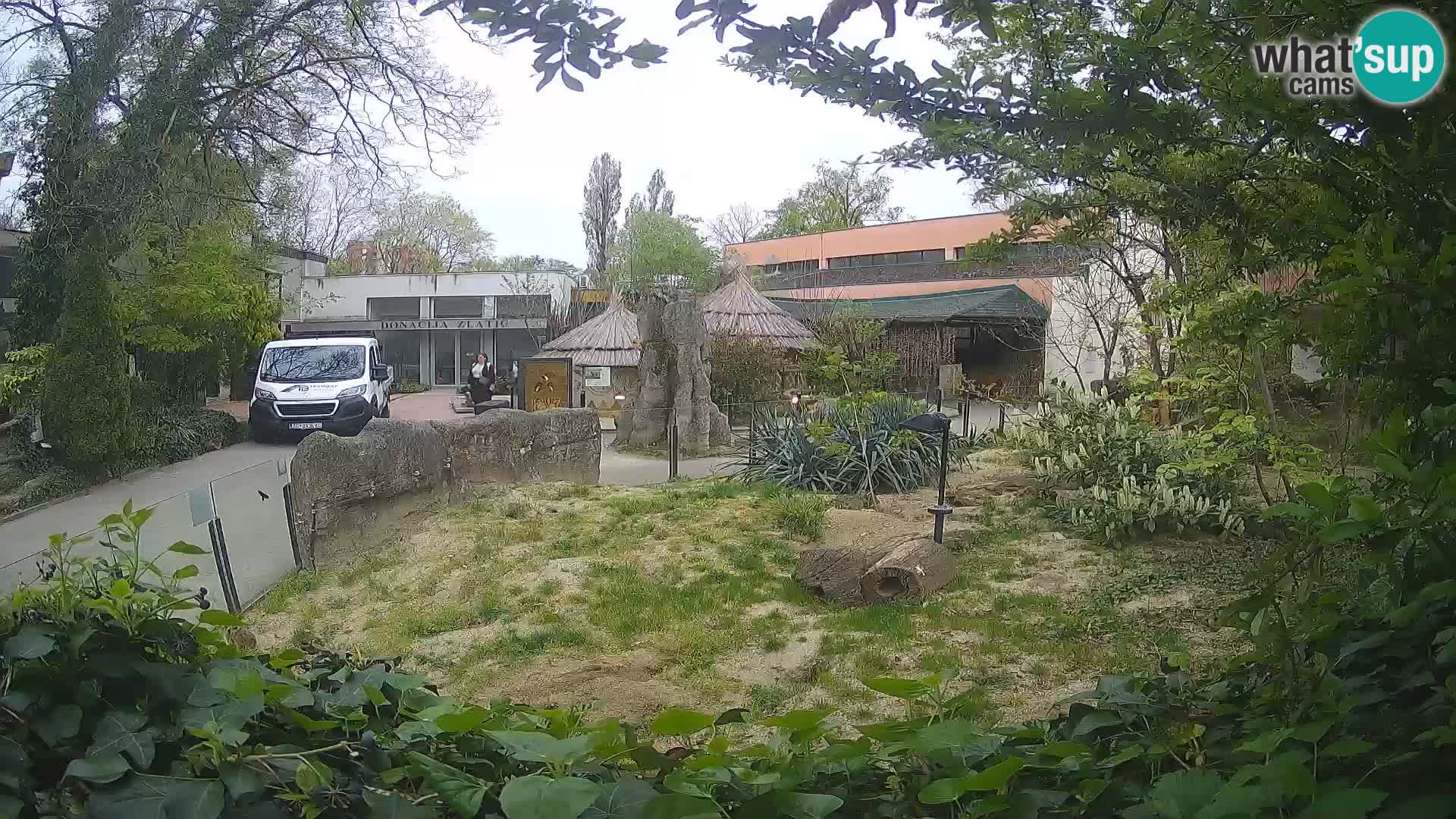 Zoo Zagreb – Merkat