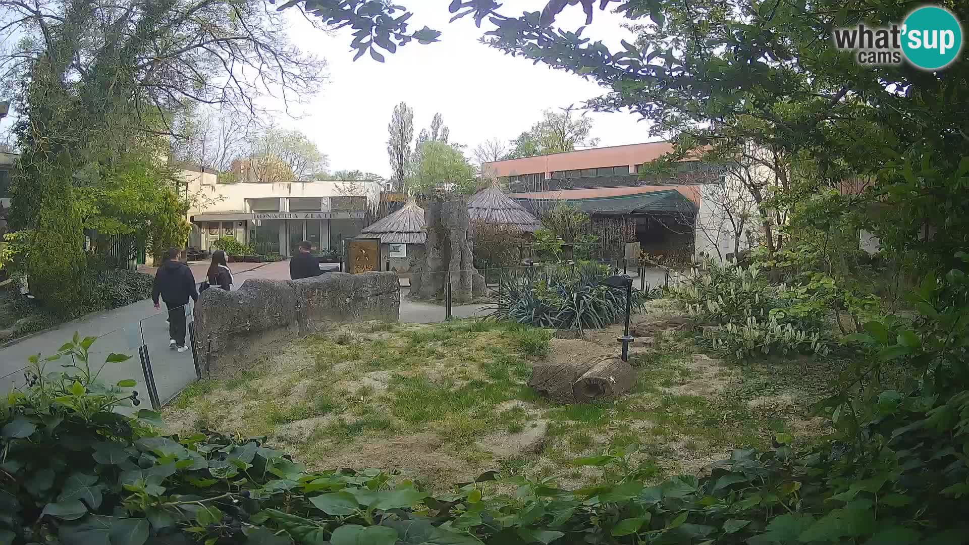 Zoo Zagreb – Merkat