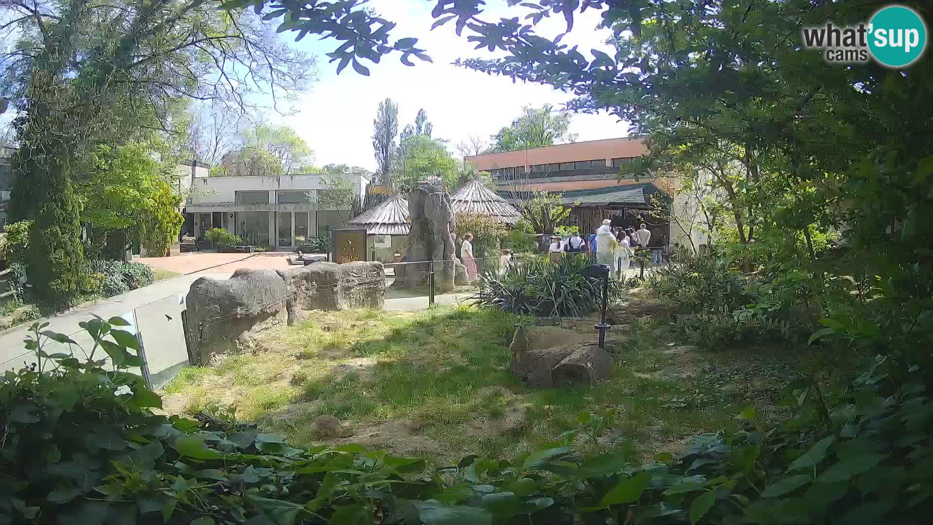 Zoo Zagreb – Erdmännchen