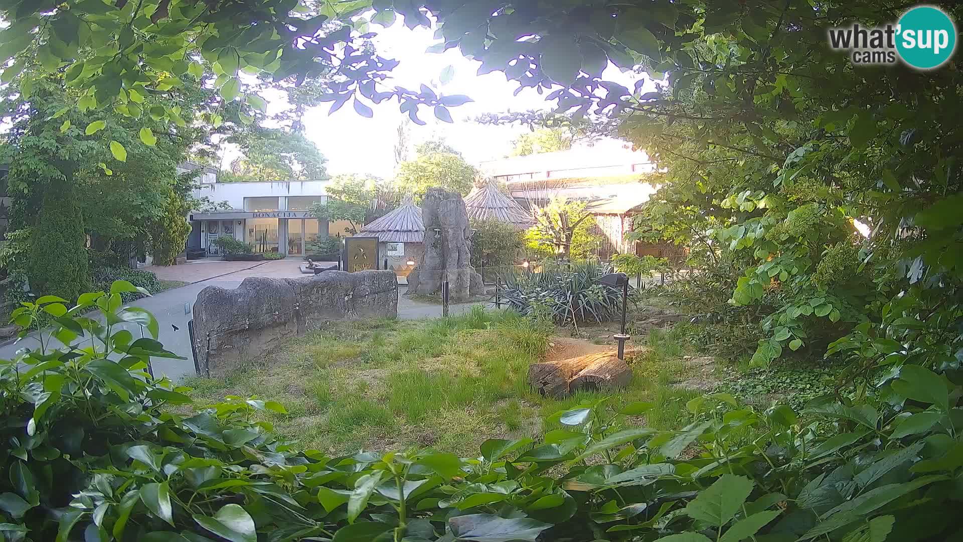 Zoo Zagreb – Suricata