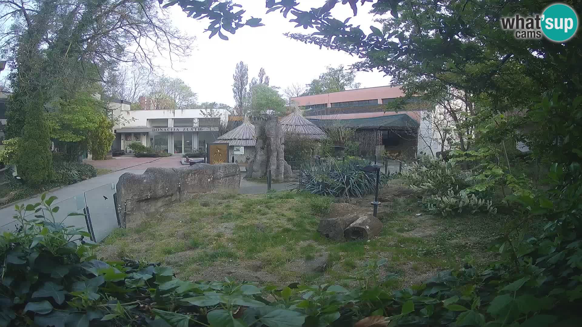 Zoo Zagreb – Erdmännchen