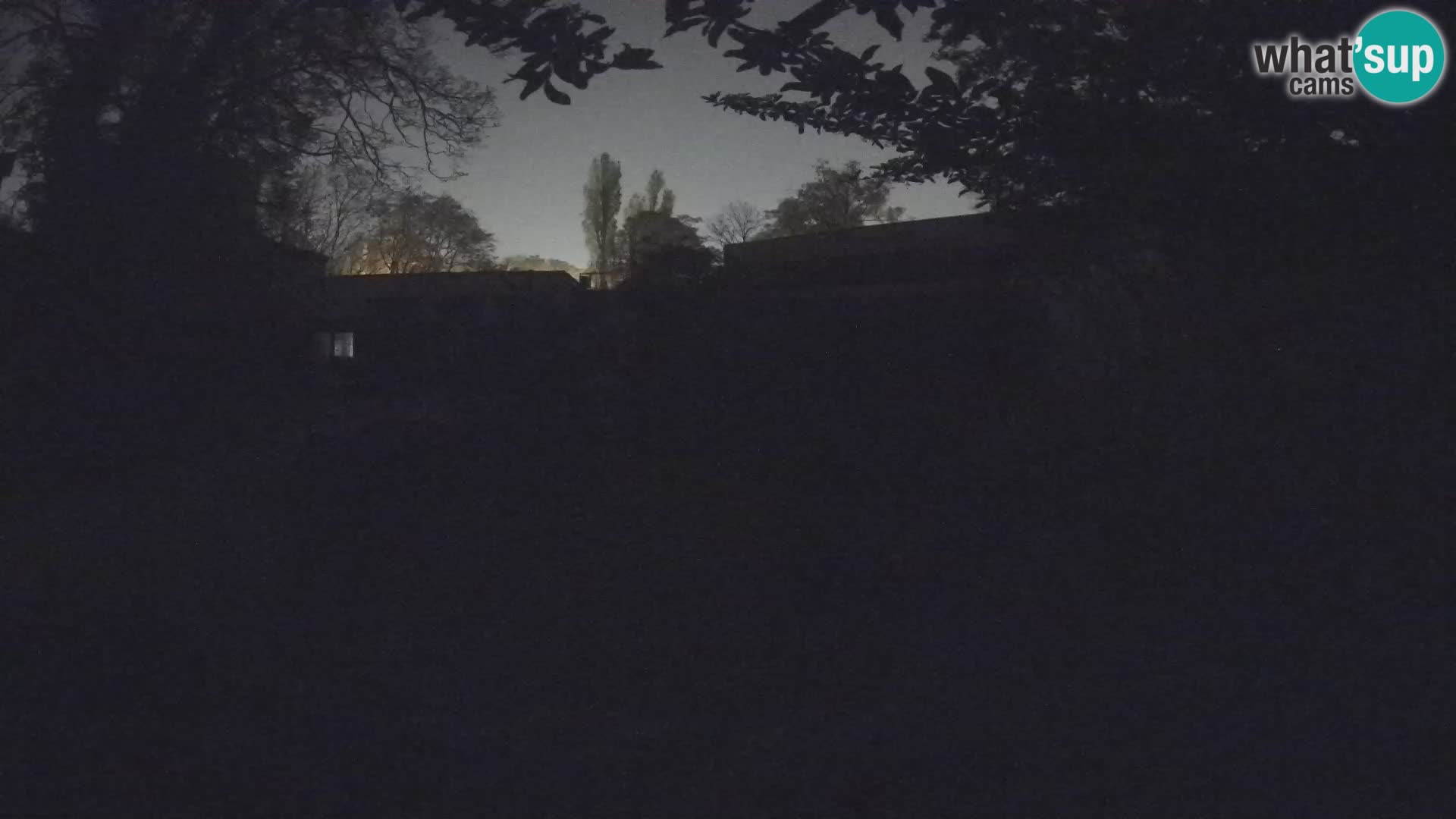 Zoo Zagreb – Merkat