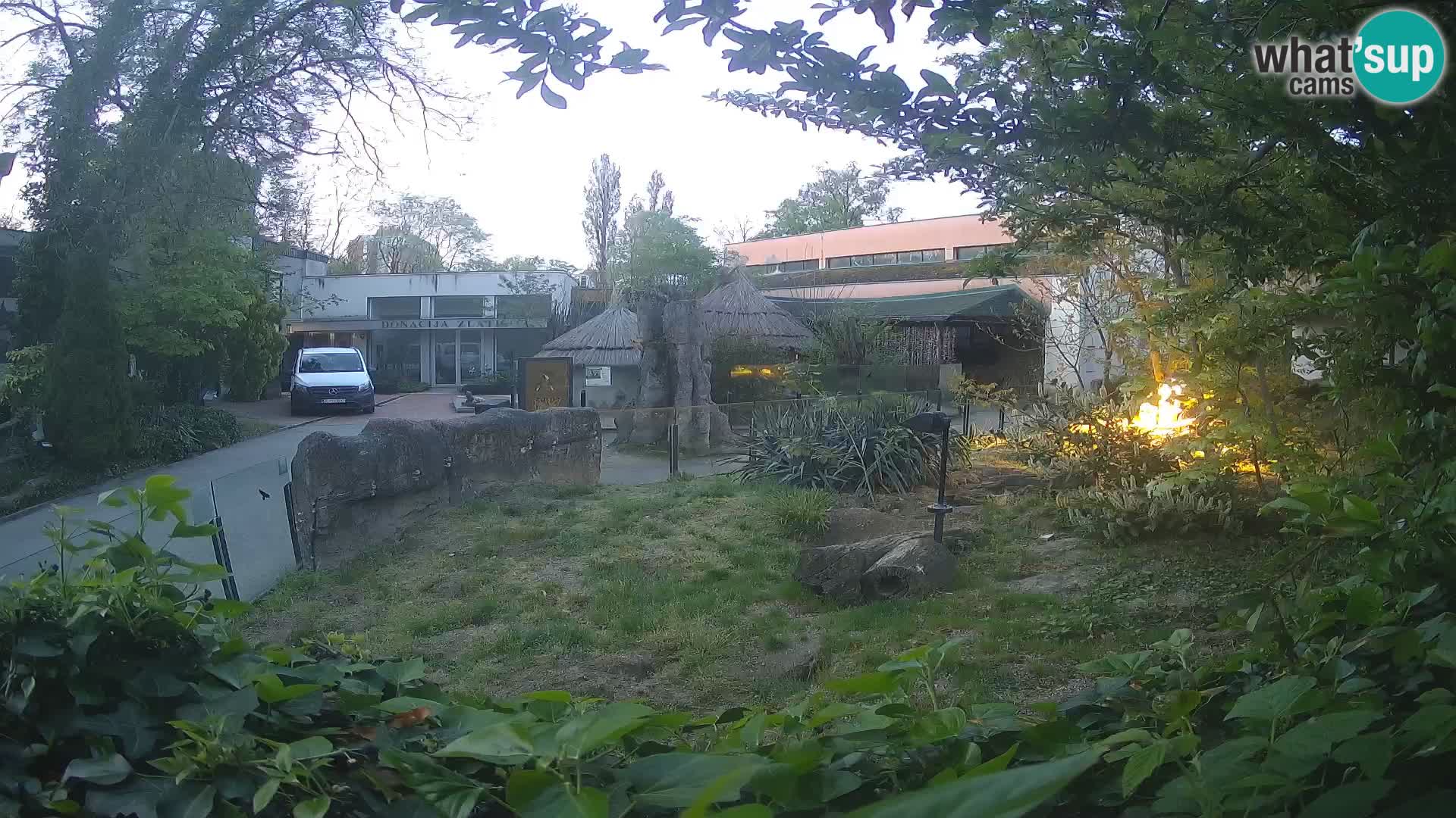 Zoo Zagreb – Merkat