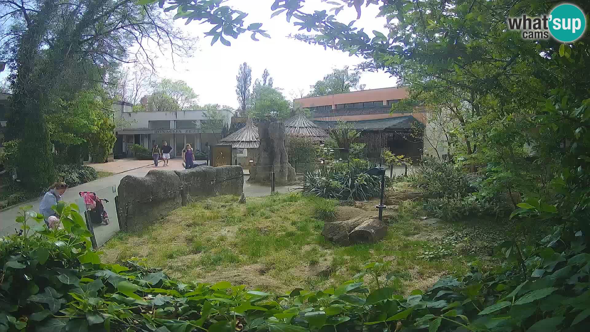 Zoo Zagreb – Erdmännchen