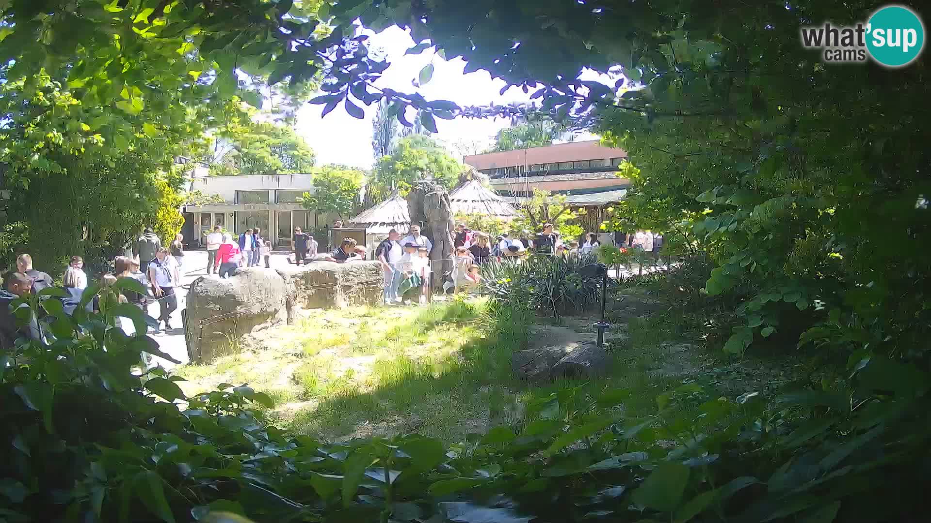 Zoo Zagreb – Erdmännchen