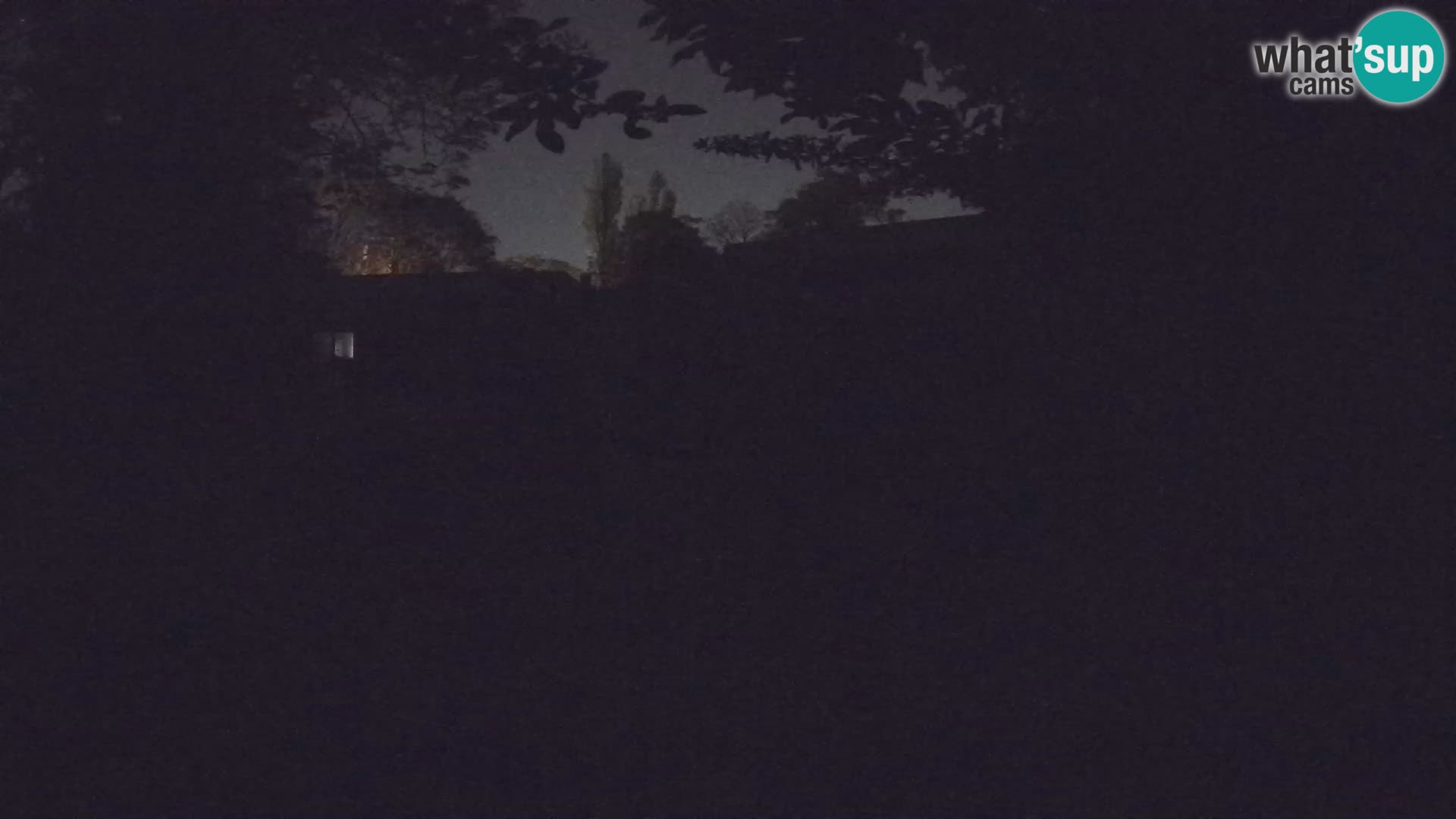 Zoo Zagreb – Surikate