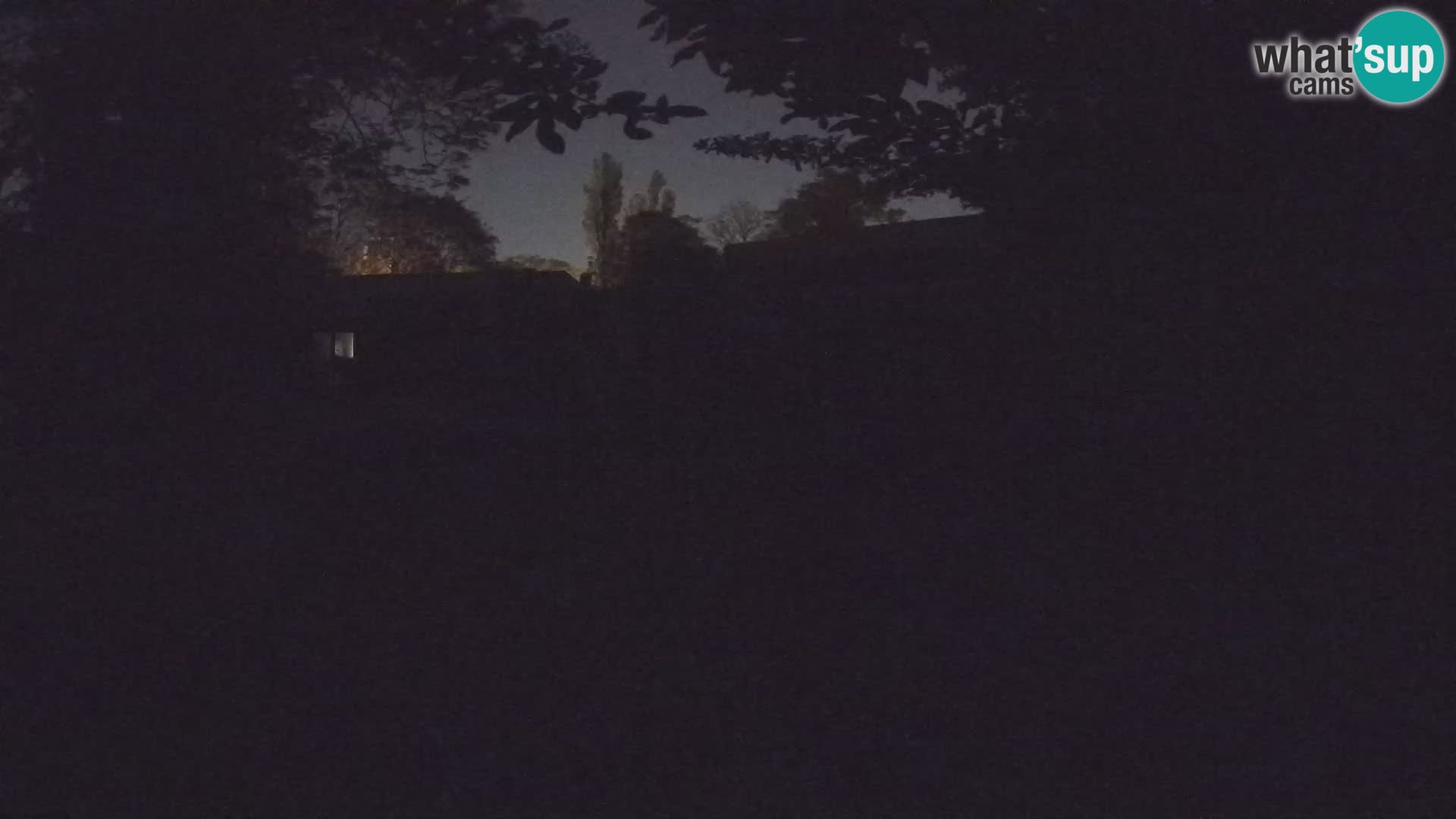 Zoo Zagreb – Surikate