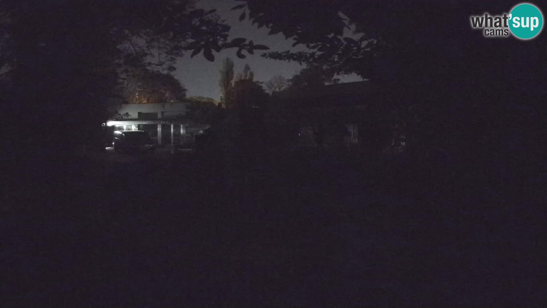 Zoo Zagreb – Suricata