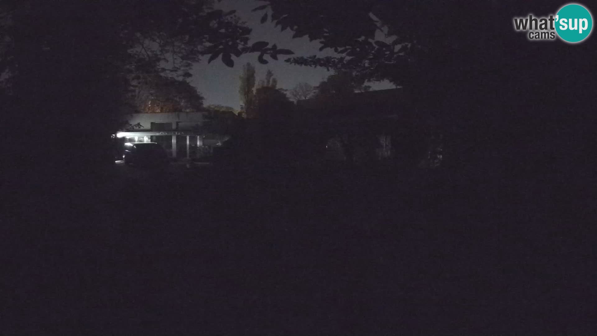 Zoo Zagreb – Suricate