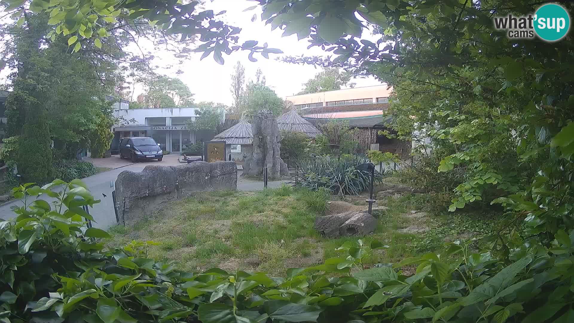 Zoo Zagreb – Erdmännchen