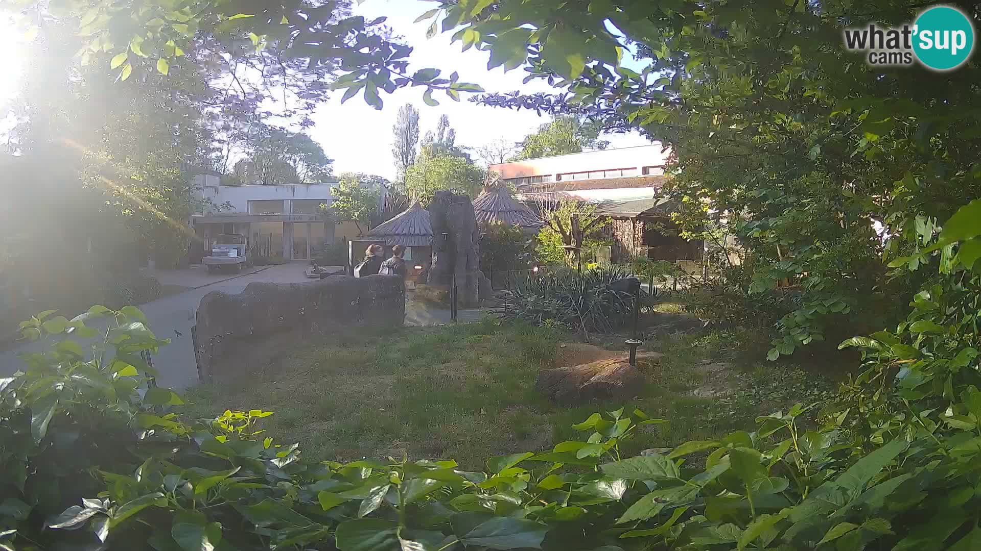 Zoo Zagreb – Erdmännchen