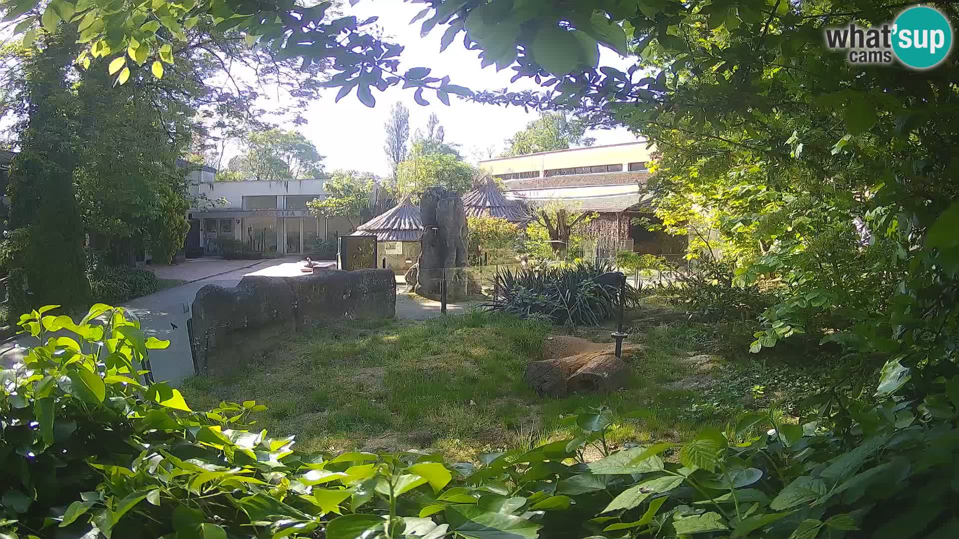 Zoo Zagreb – Erdmännchen