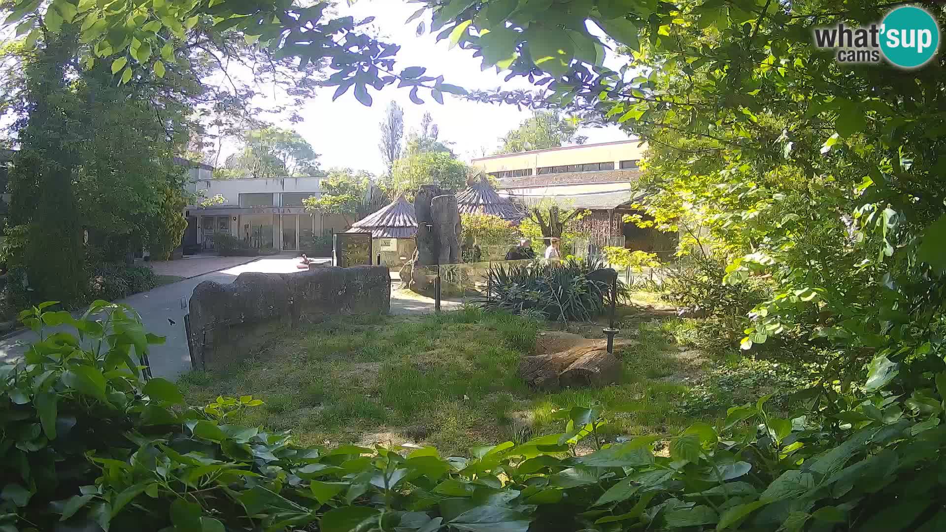 Zoo Zagreb – Erdmännchen