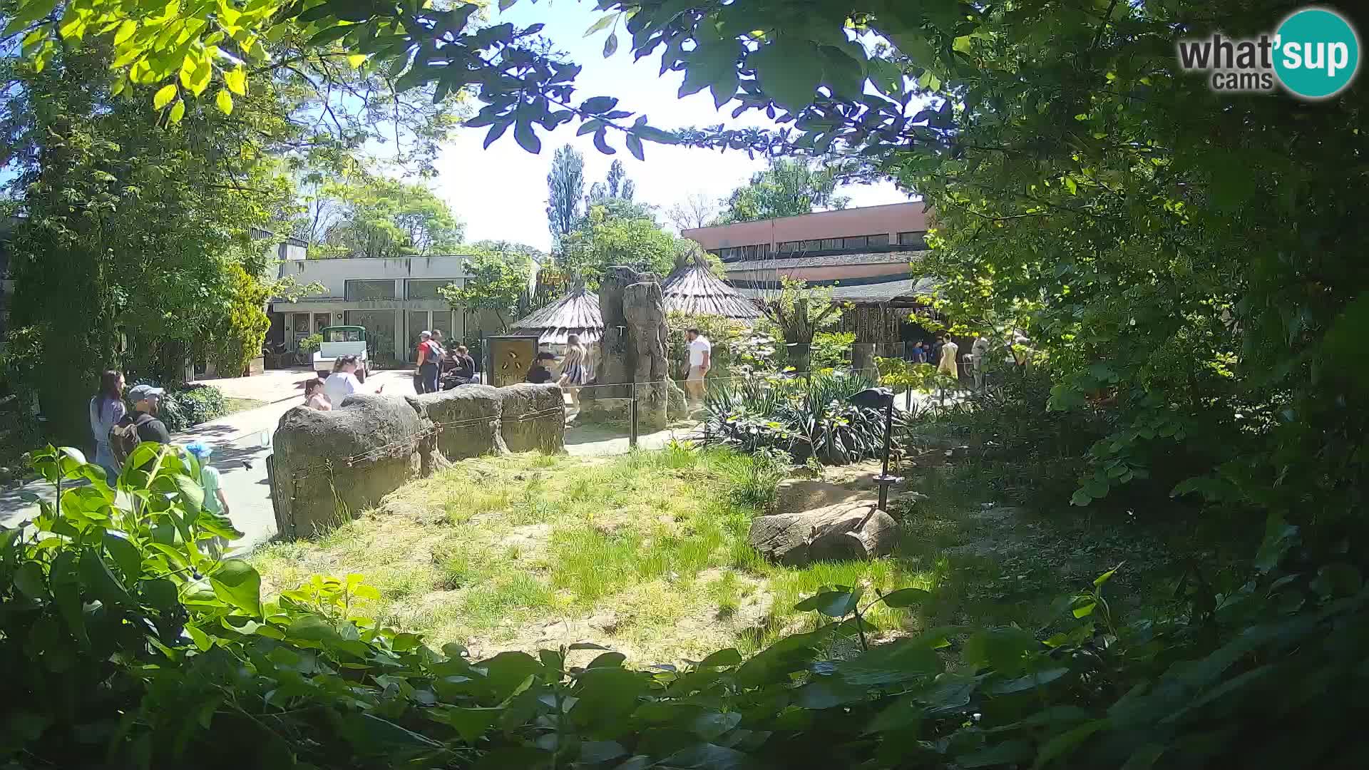 Zoo Zagreb – Erdmännchen