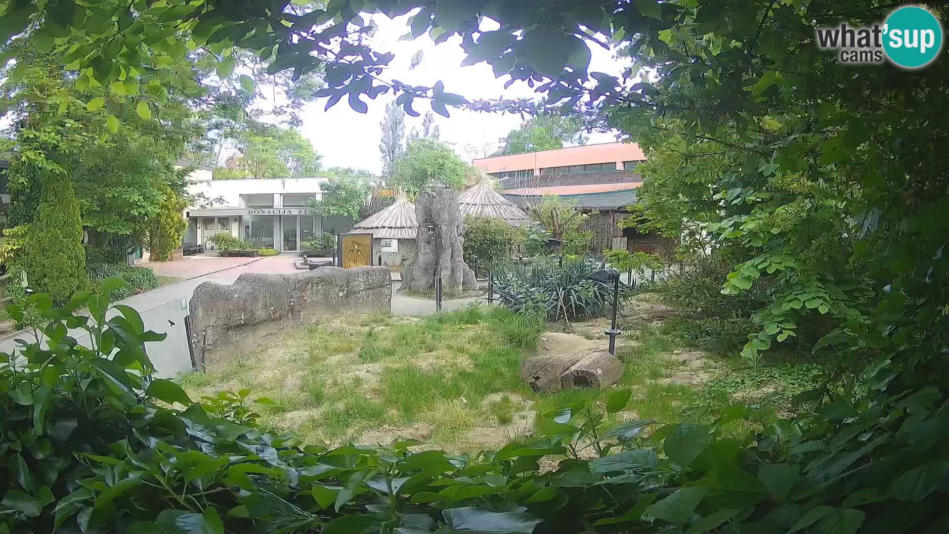 Zoo Zagreb – Merkat