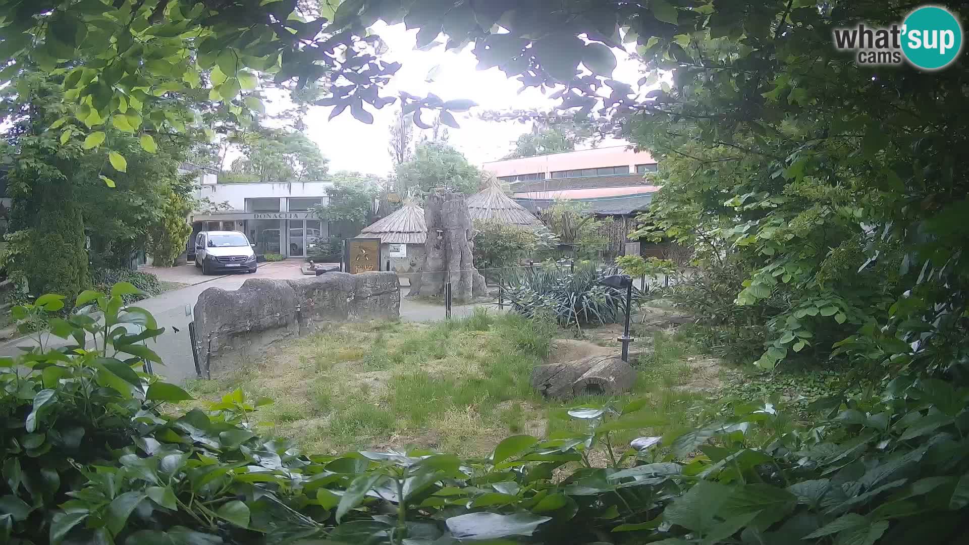 Zoo Zagreb – Erdmännchen