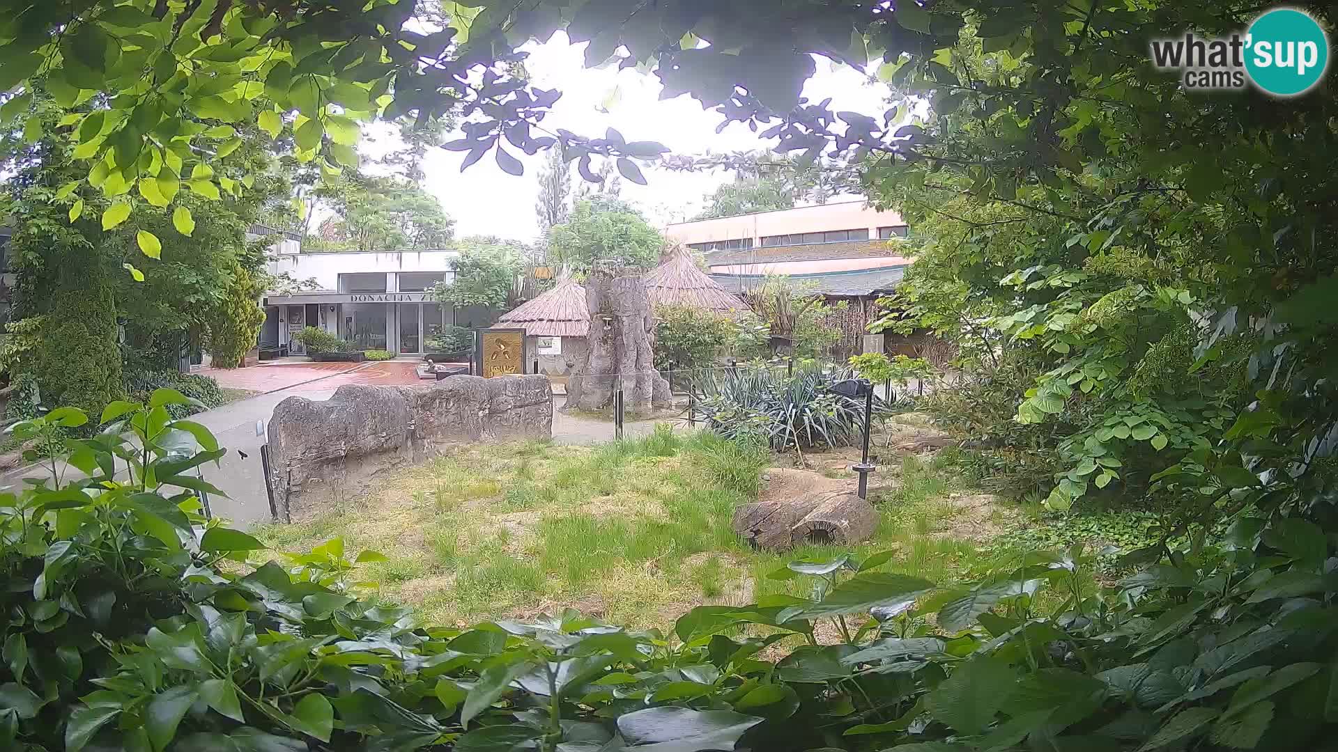 Zoo Zagreb – Erdmännchen