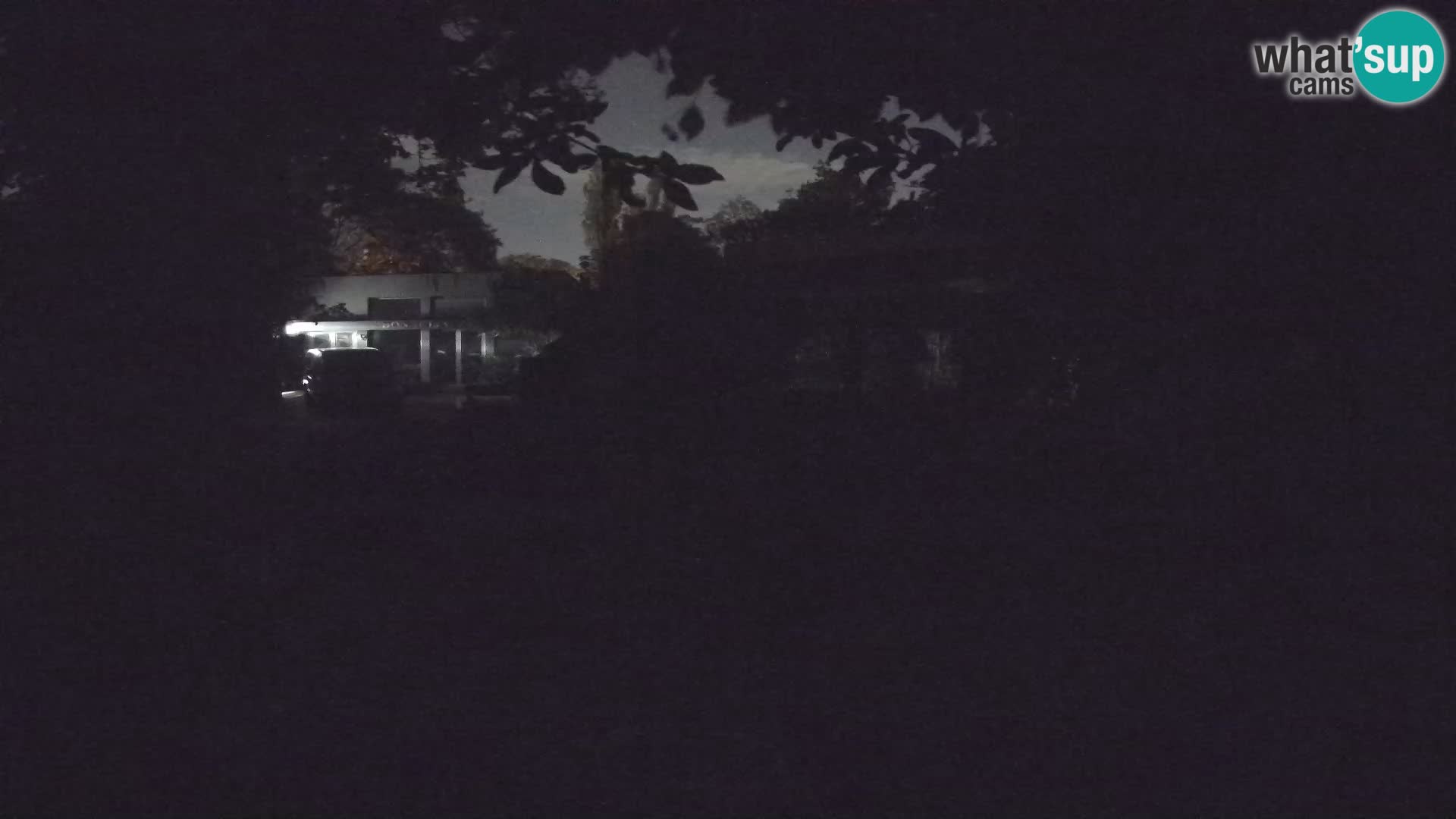 Zoo Zagreb – Merkat