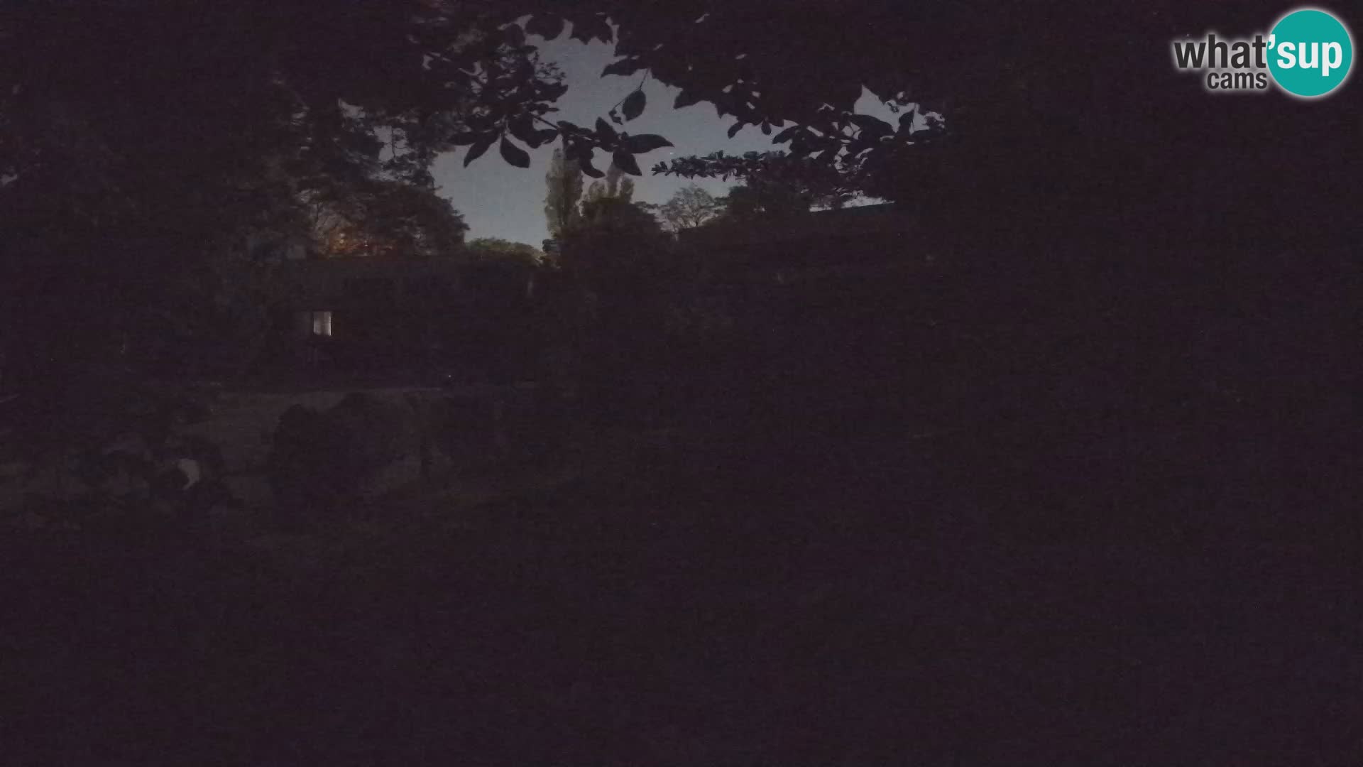 Zoo Zagreb – Erdmännchen