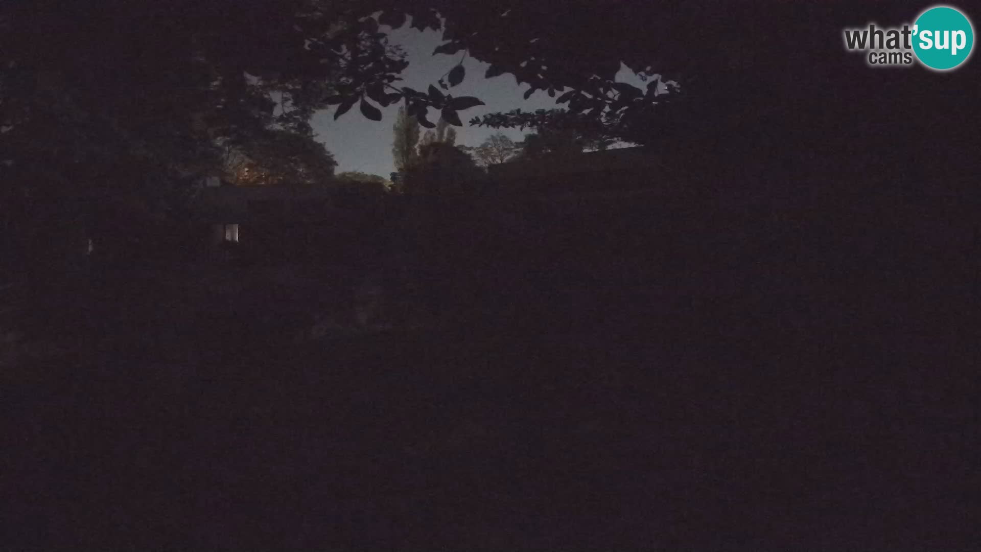 Zoo Zagreb – Erdmännchen