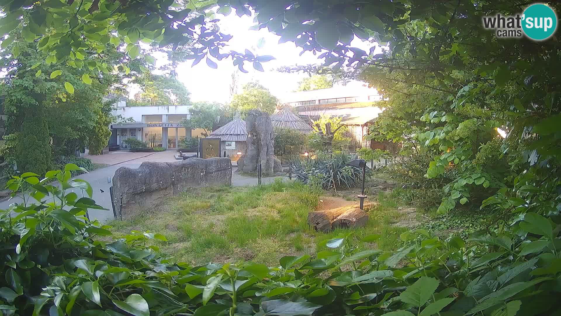 Zoo Zagreb – Suricata
